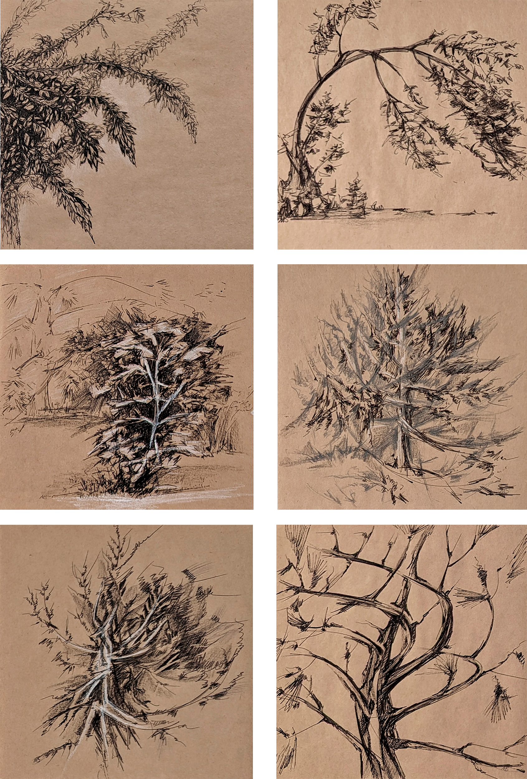 Мария Светлакова (Авторская графика - 
                  40 x 60 см) Линии лета, набор
