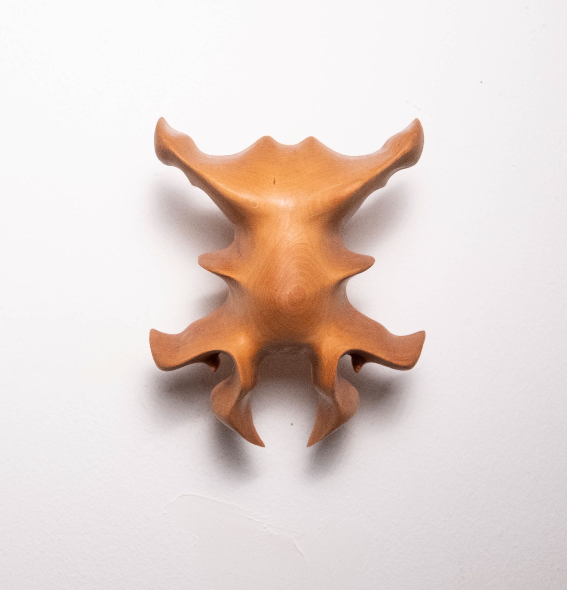 Дарья Растунина (Объект - 
                  18 x 18 см) Без названия