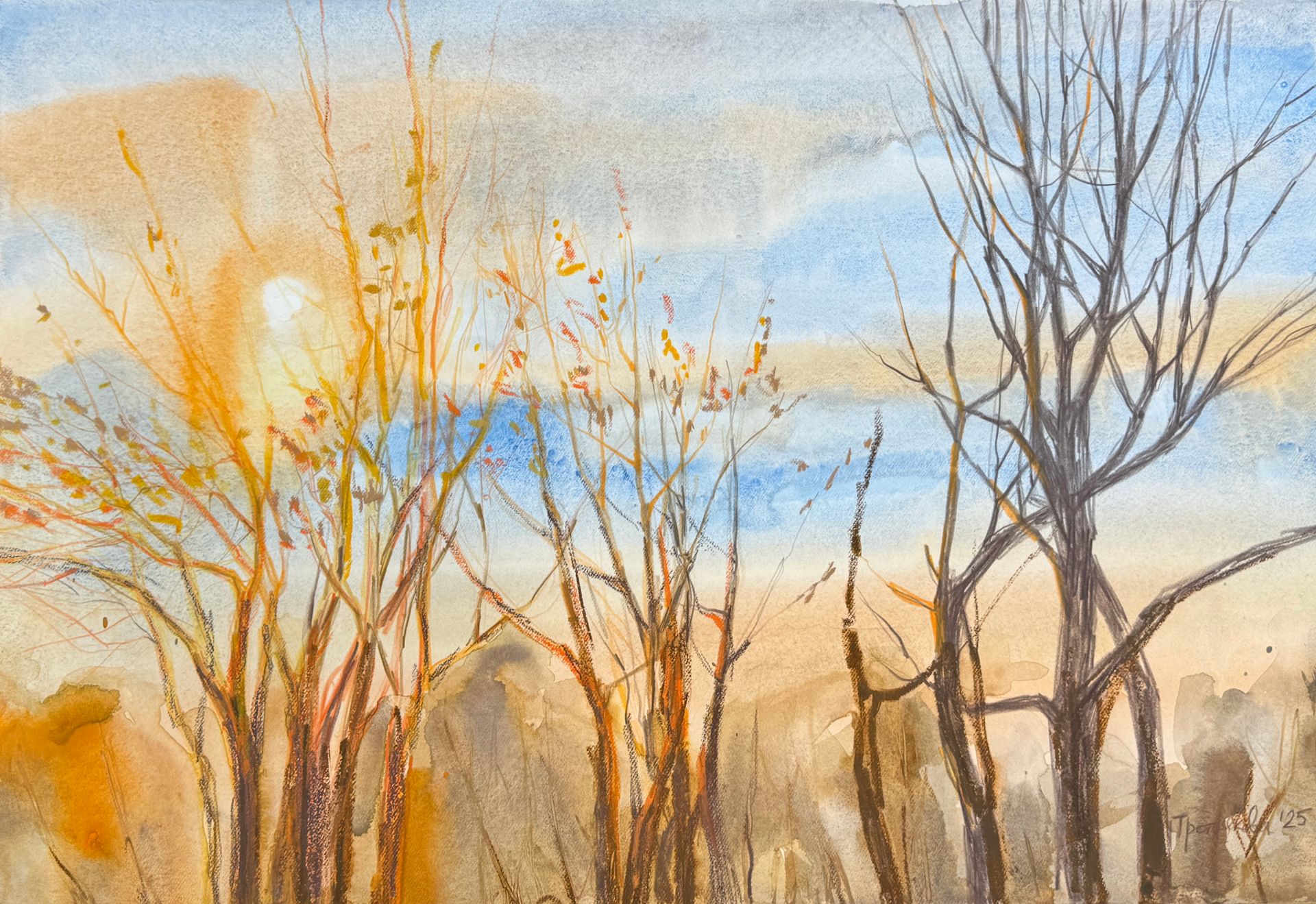 Юлия Третьякова (Авторская графика - 
                  56.5 x 38.5 см) Угасание жизни