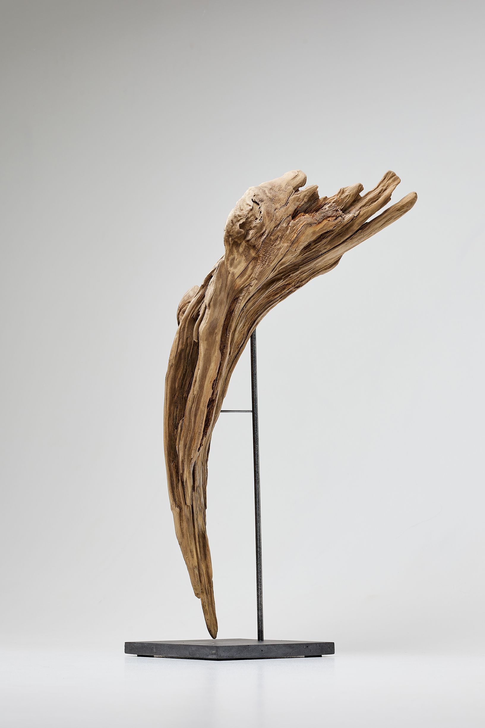 Игорь Роговский (Скульптура - 
                  36 x 97 см) Ветер перемен