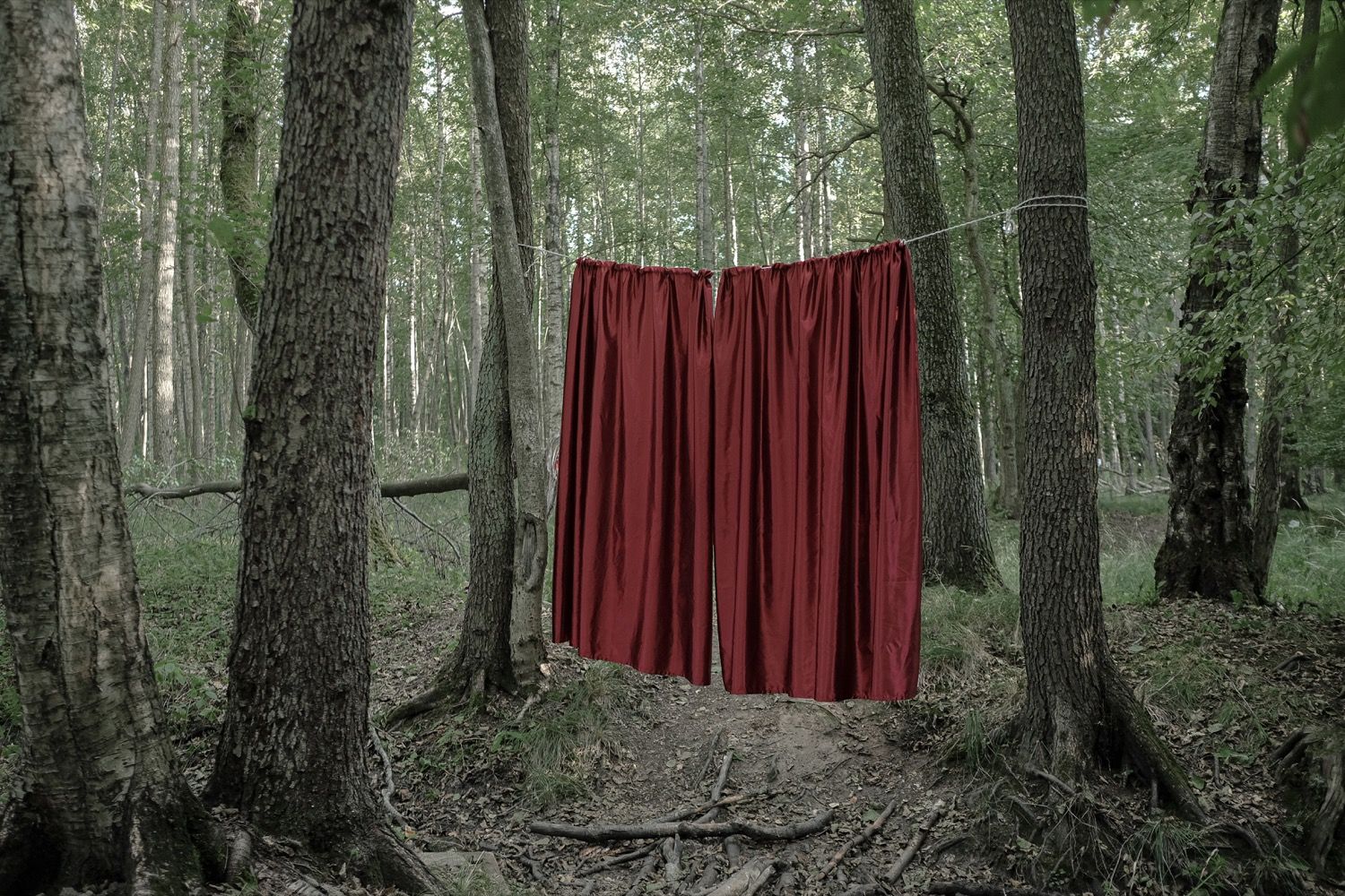 Наташа Лозинская (Фотография - 
                  40 x 60 см) В лес I