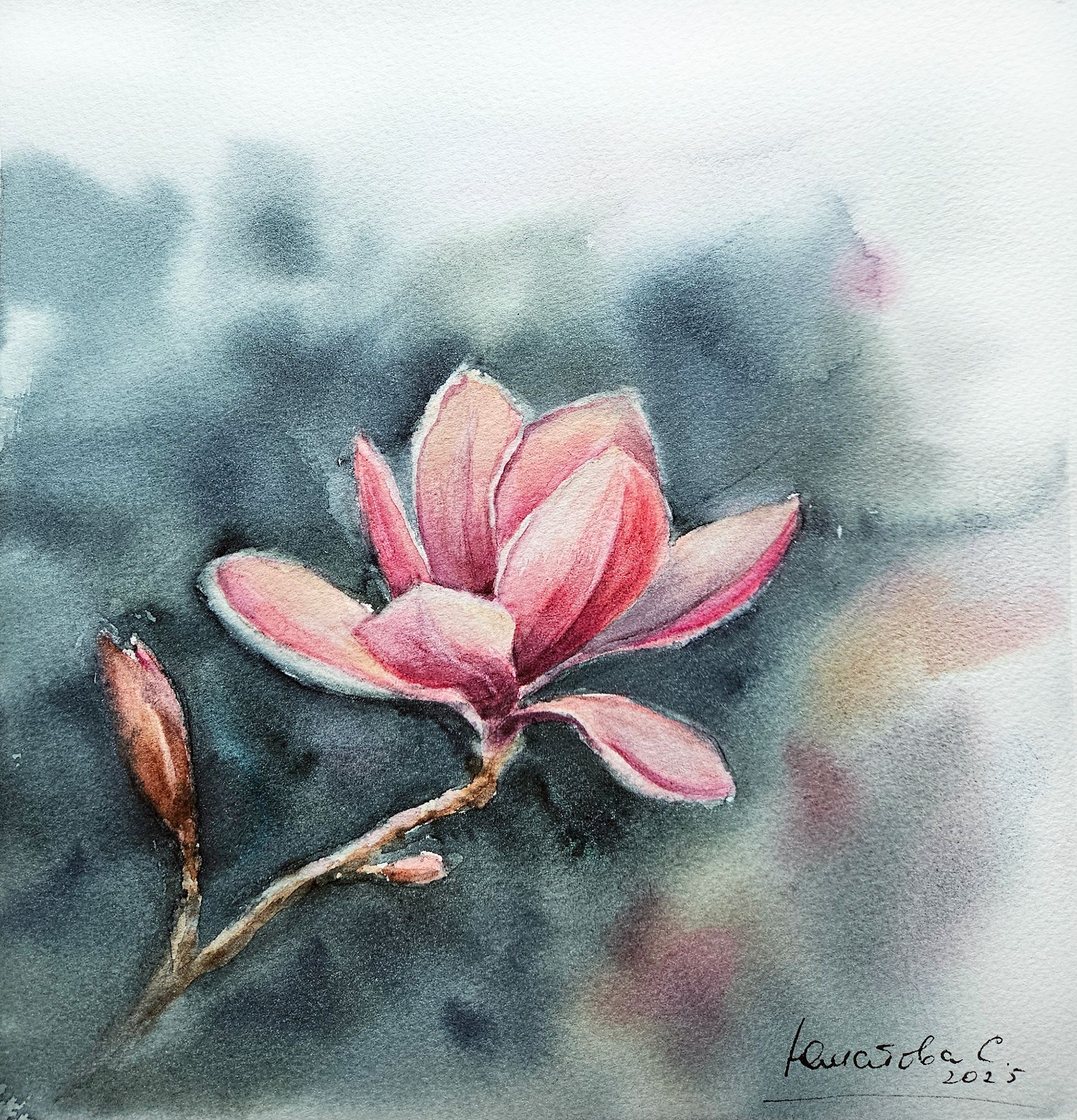 Светлана Юматова (Авторская графика - 
                  23 x 25 см) Весенняя магнолия