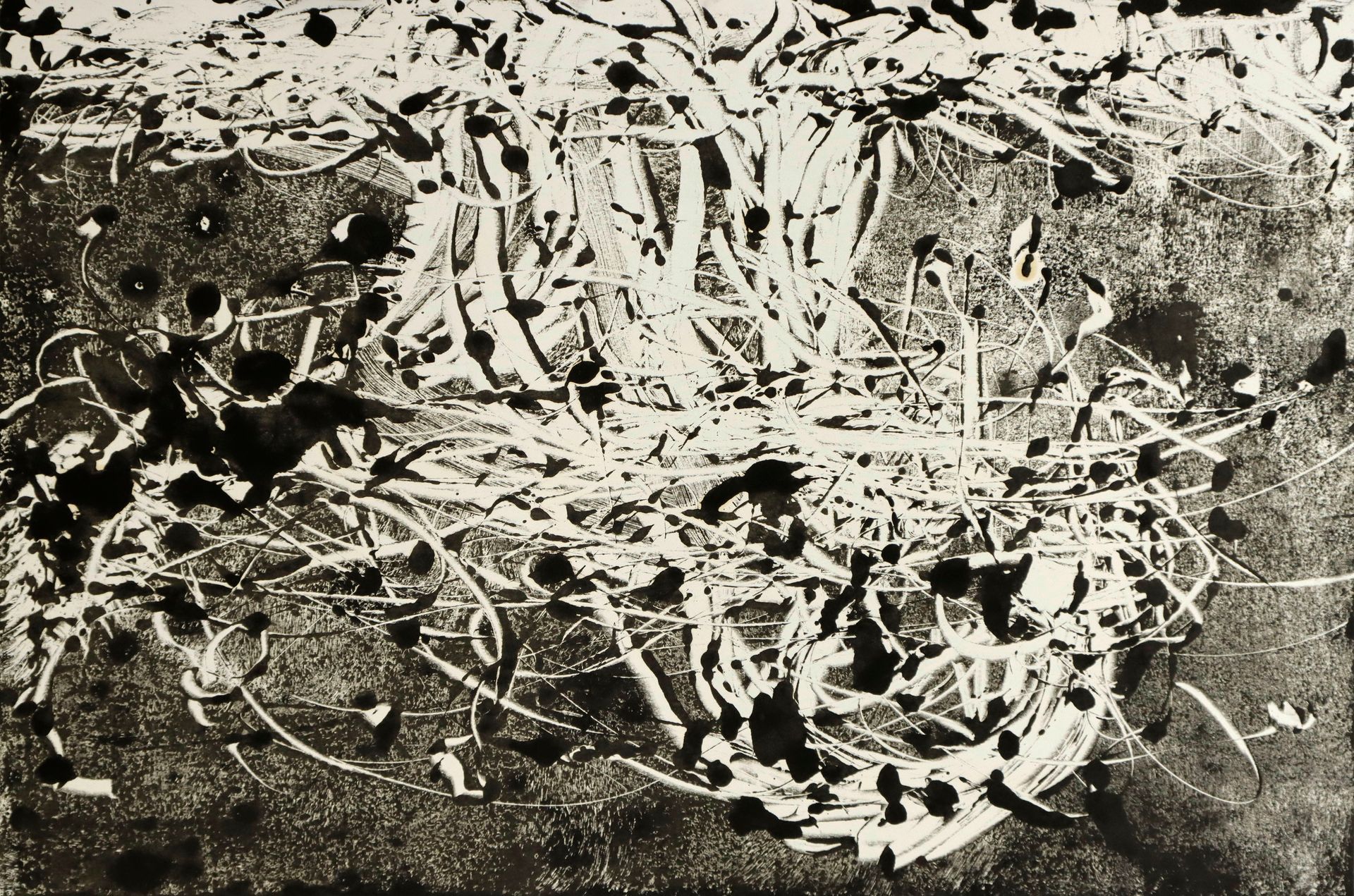 Дмитрий Василенко (Авторская графика - 
                  84 x 59 см) Вихрь жизни