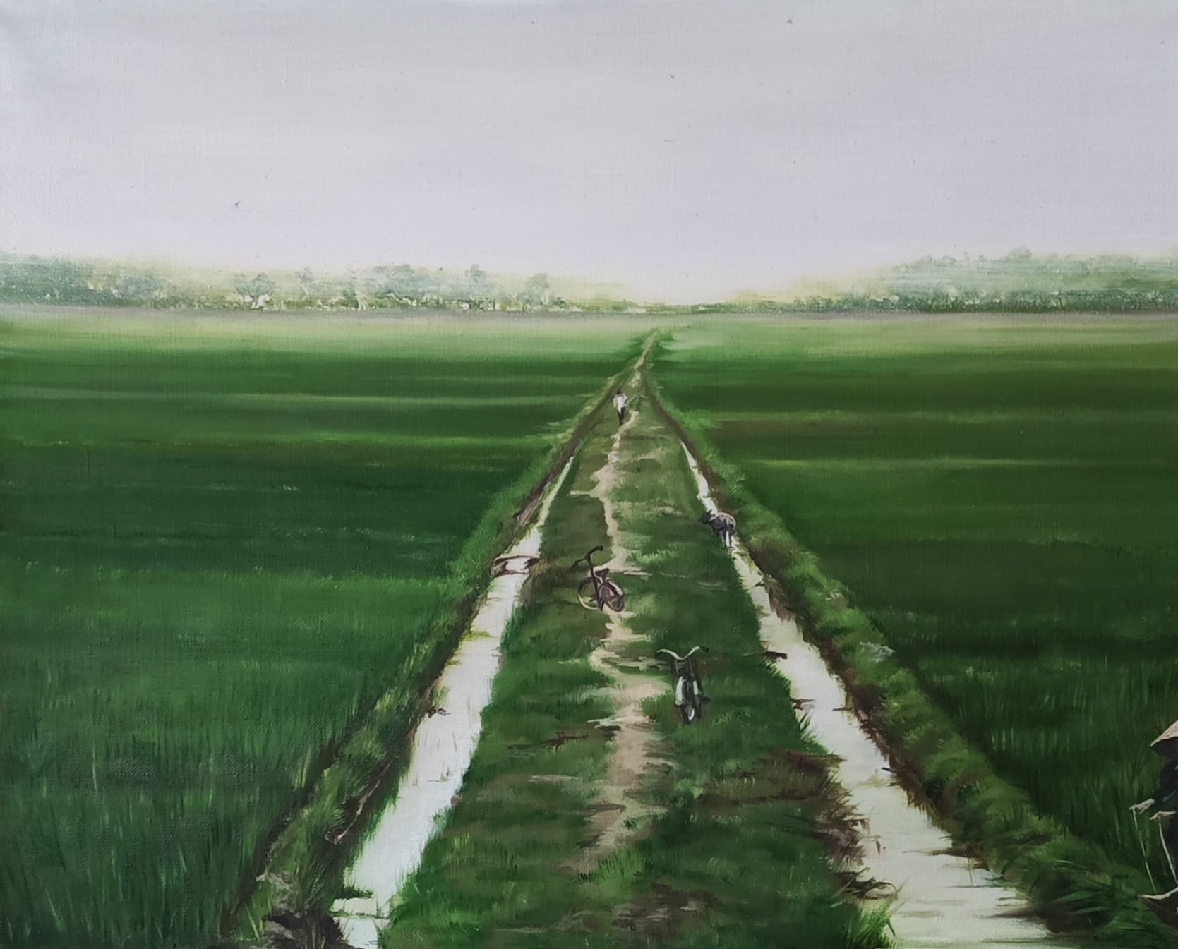 Мила Bezú (Картина, живопись - 
                  50 x 40 см) Rice fields in Vietnam