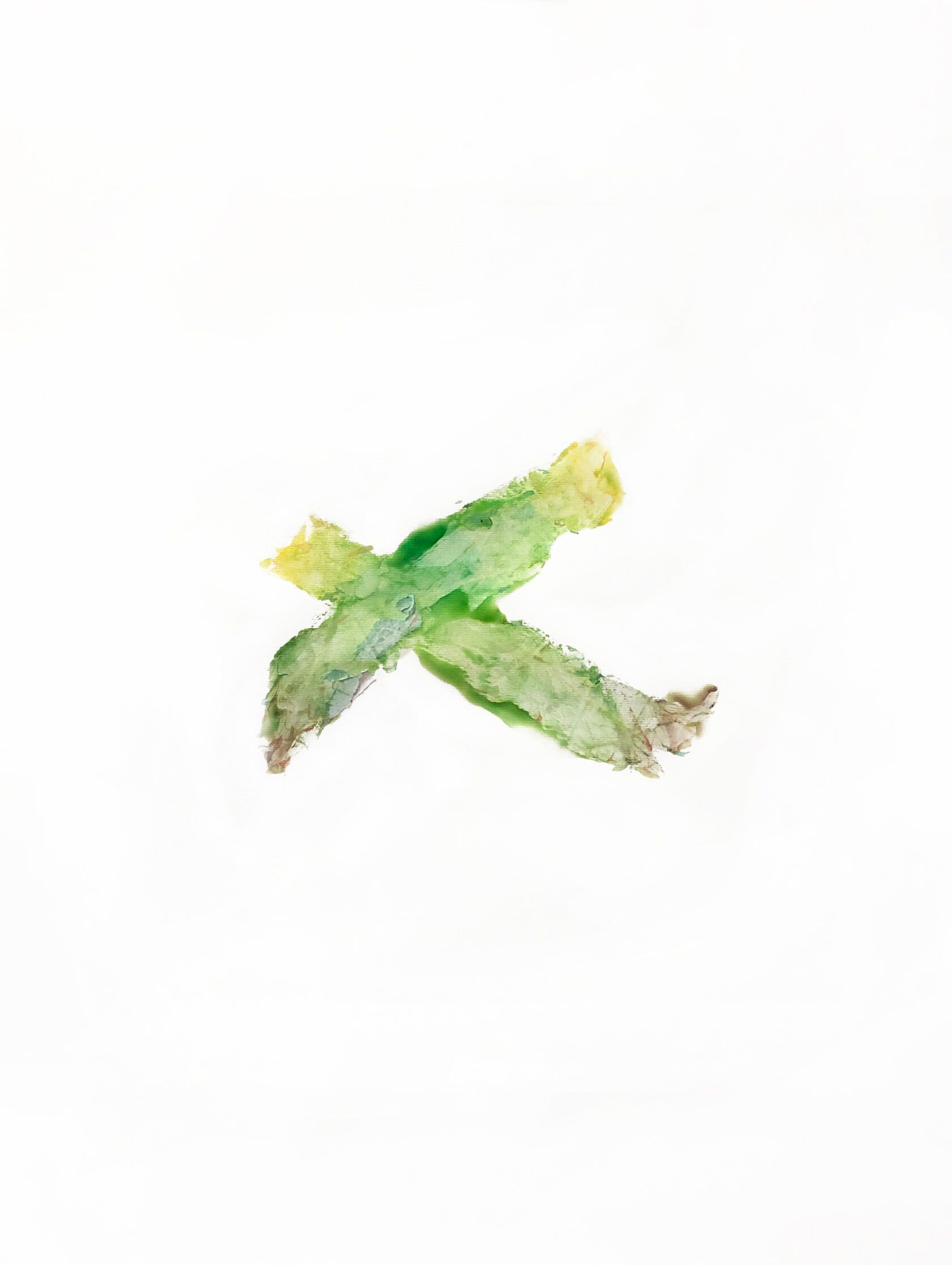 Кирилл Михайлин (Авторская графика - 
                  60 x 80 см) They bud, bloom and fade