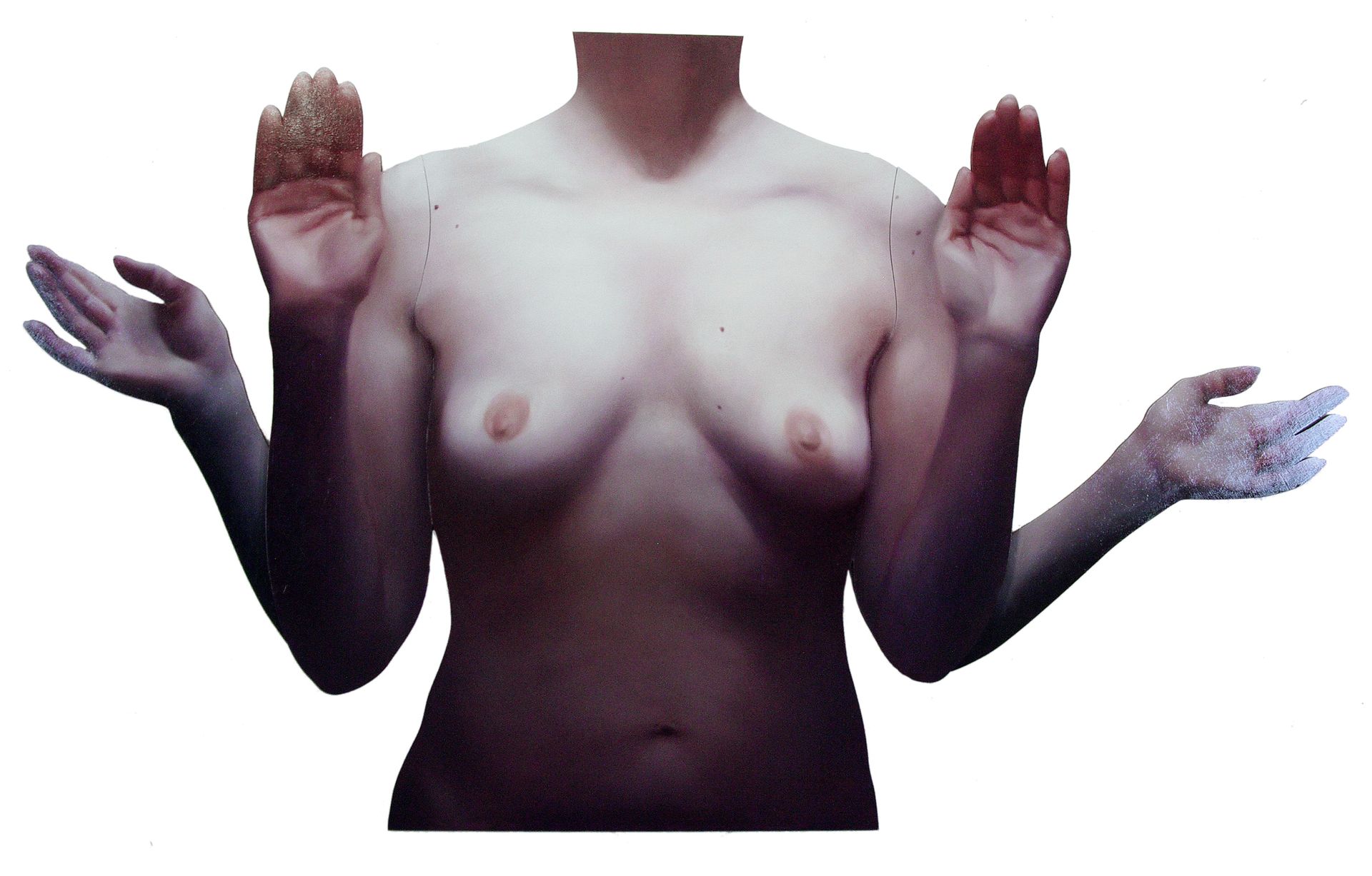 Катерина Бородавченко (Картина, живопись - 
                  204 x 120 см) Без названия