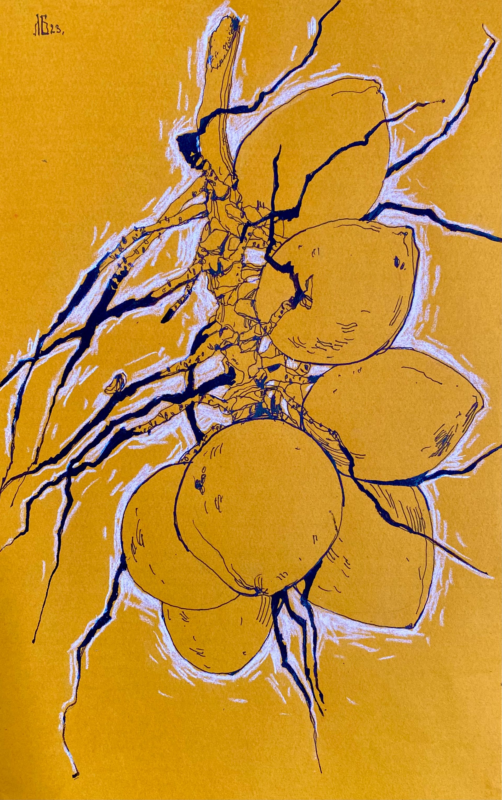 Лиза Бородинова (Авторская графика - 
                  23 x 36 см) King Coconut