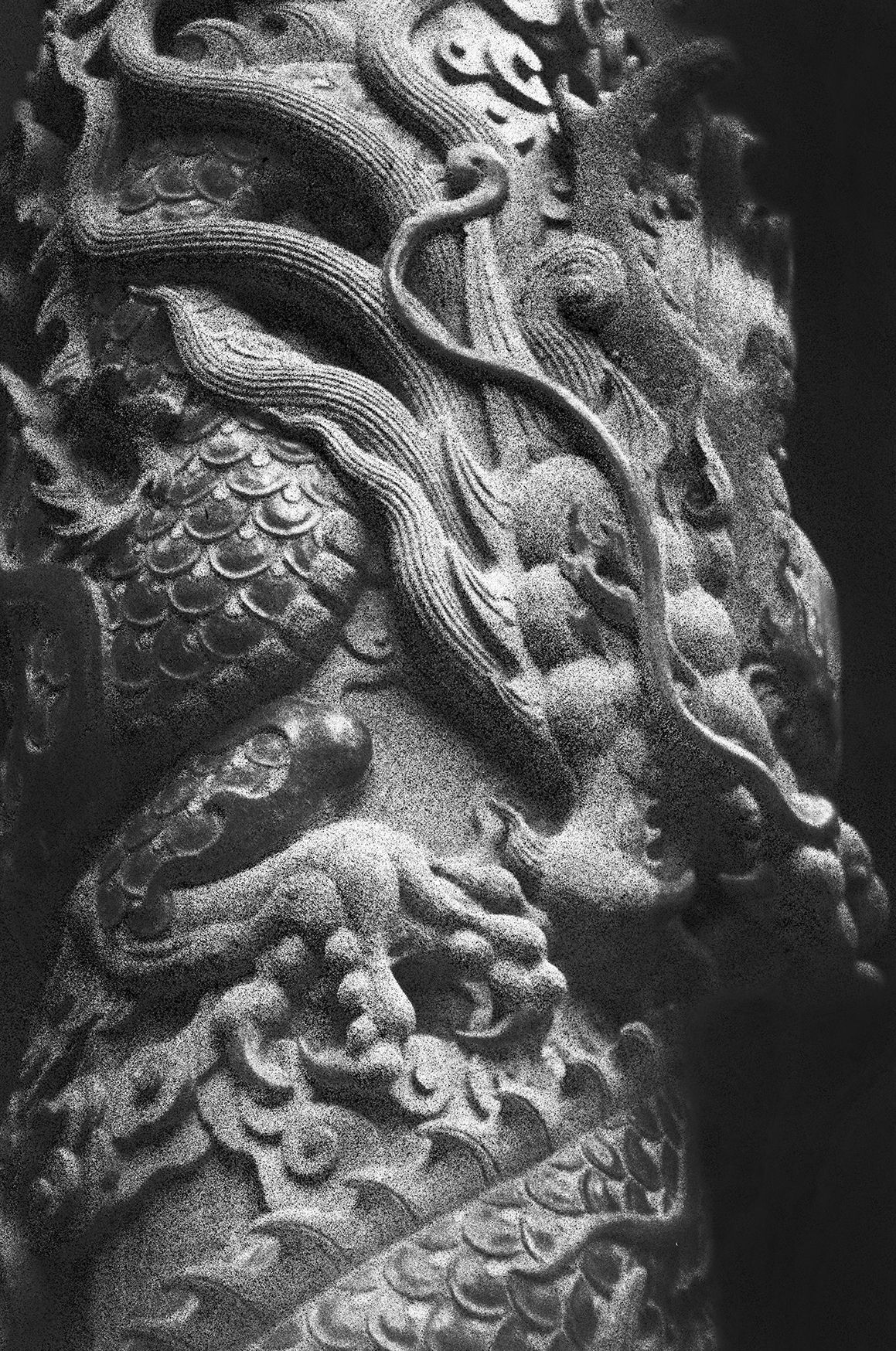 Lizabet Grace (Фотография - 
                  42 x 59 см) Sri Lanka Dragon | Шри-Ланка Дракон