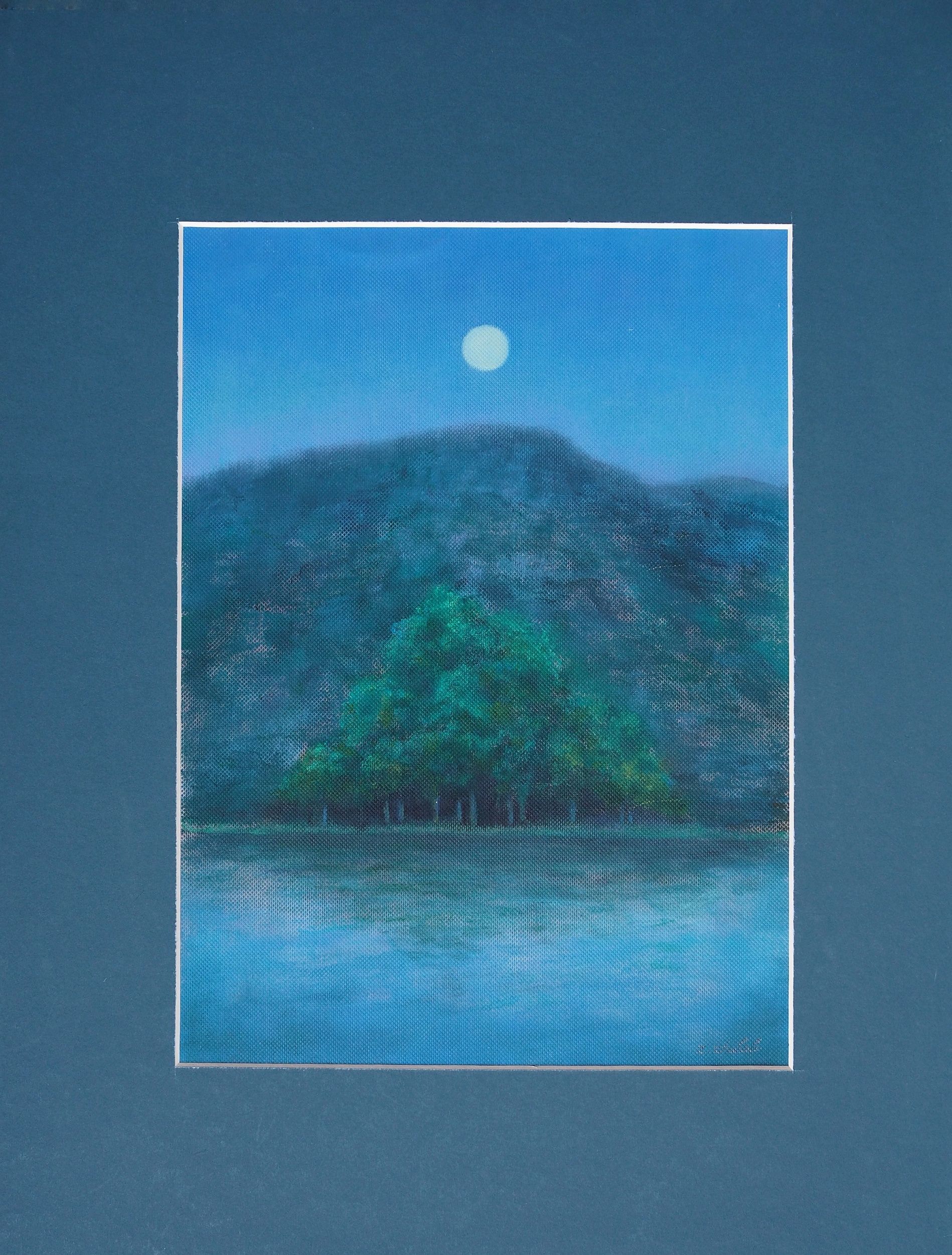 Заира Жабали (Авторская графика - 
                  36 x 46 см) Летняя ночь