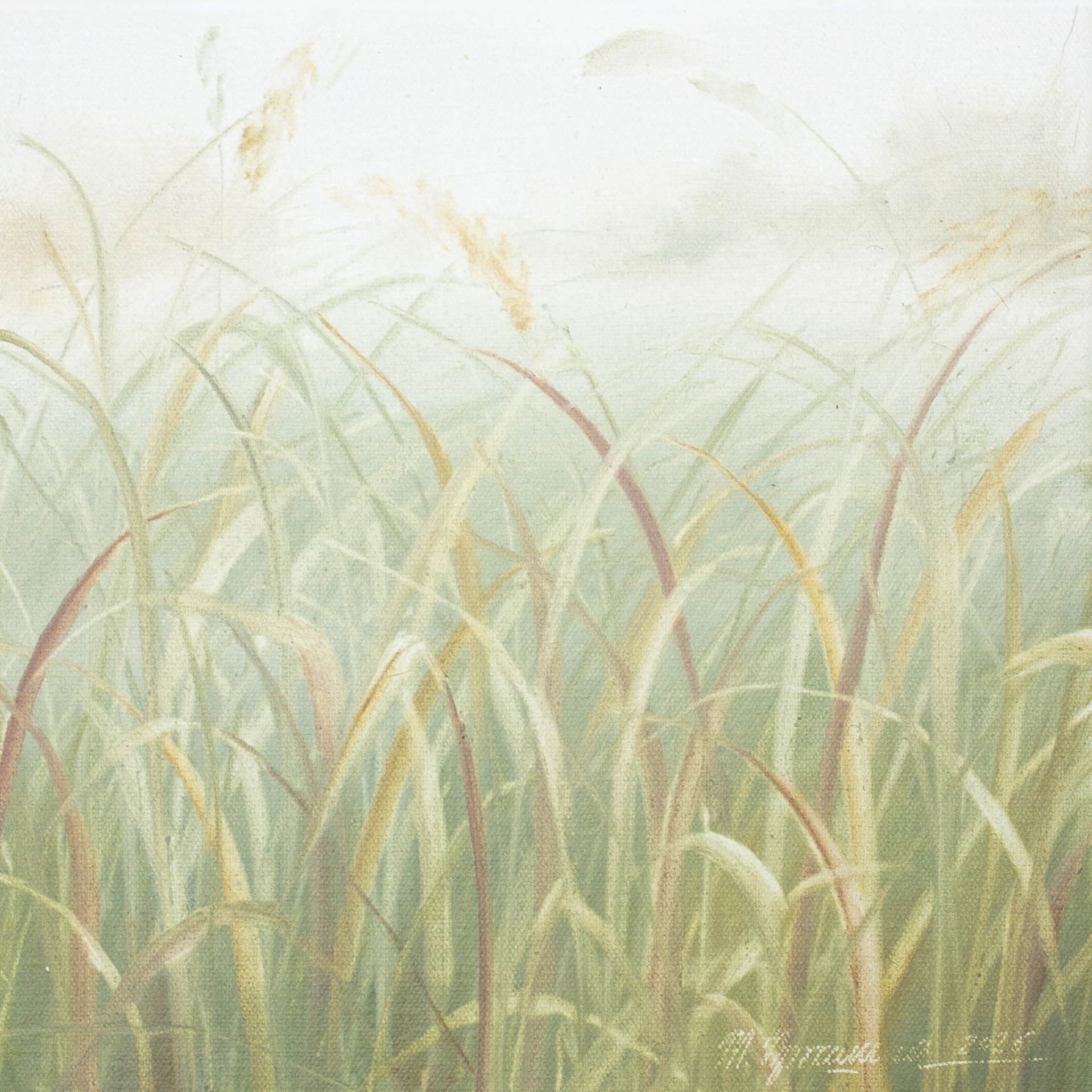 Татьяна Прокшина (Картина, живопись - 
                  30 x 30 см) Разные травинки