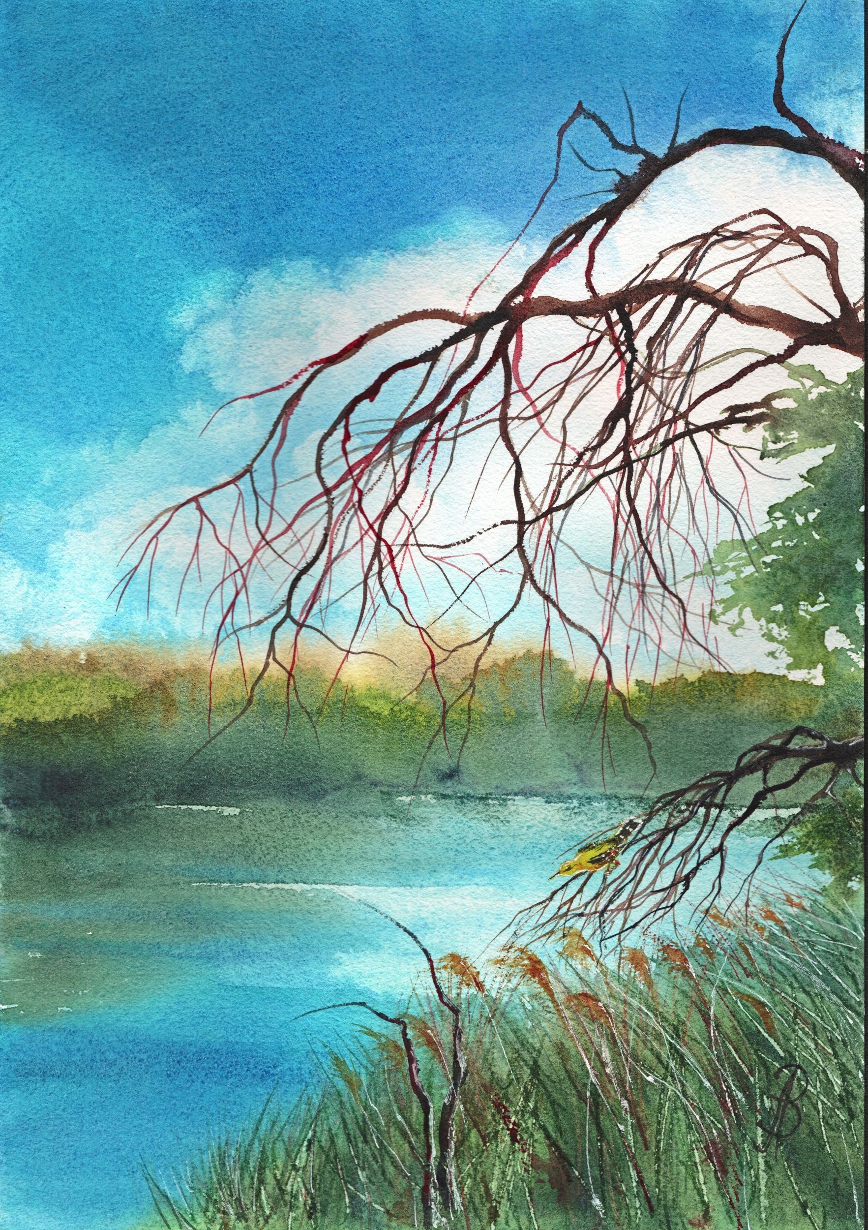 Алла Валежина (Авторская графика - 
                  30 x 42 см) Иволга у реки