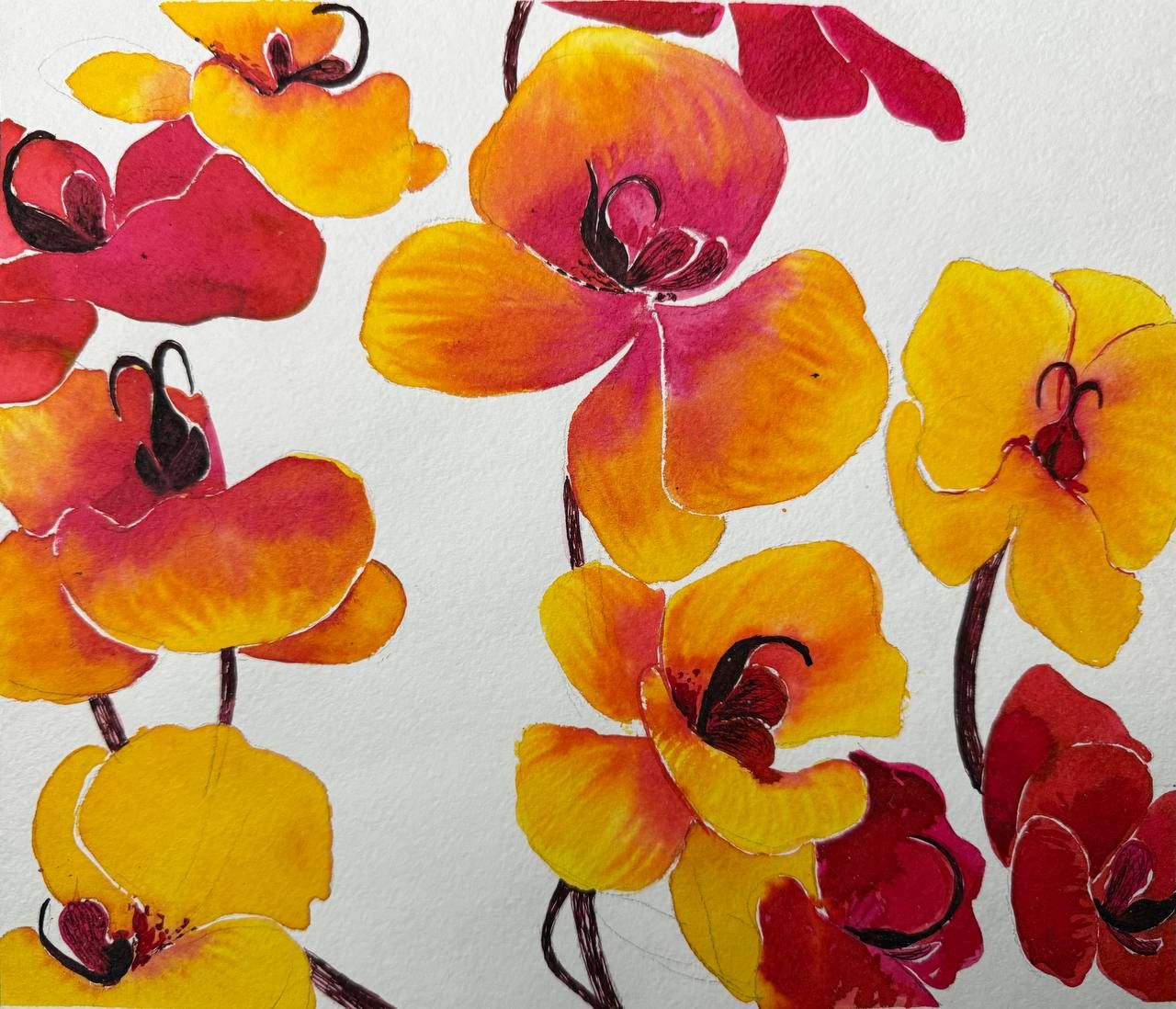 Алена Сокольникова (Авторская графика - 
                  23 x 26 см) Орхидеи