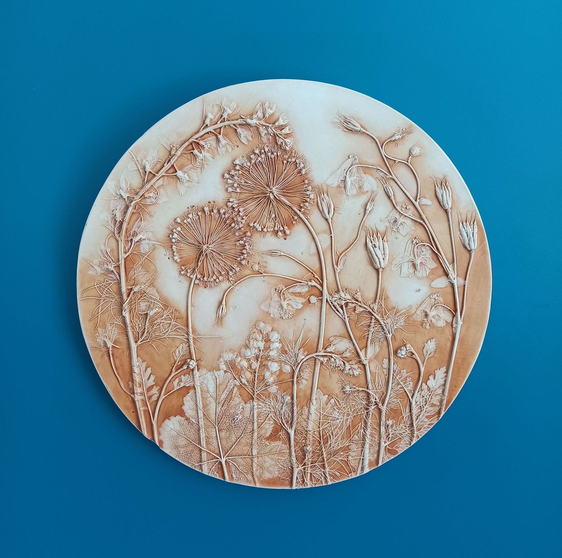 Елена Новожилова (Объект - 
                  33 x 33 см) Ботанический барельеф "ALLIUM #3"