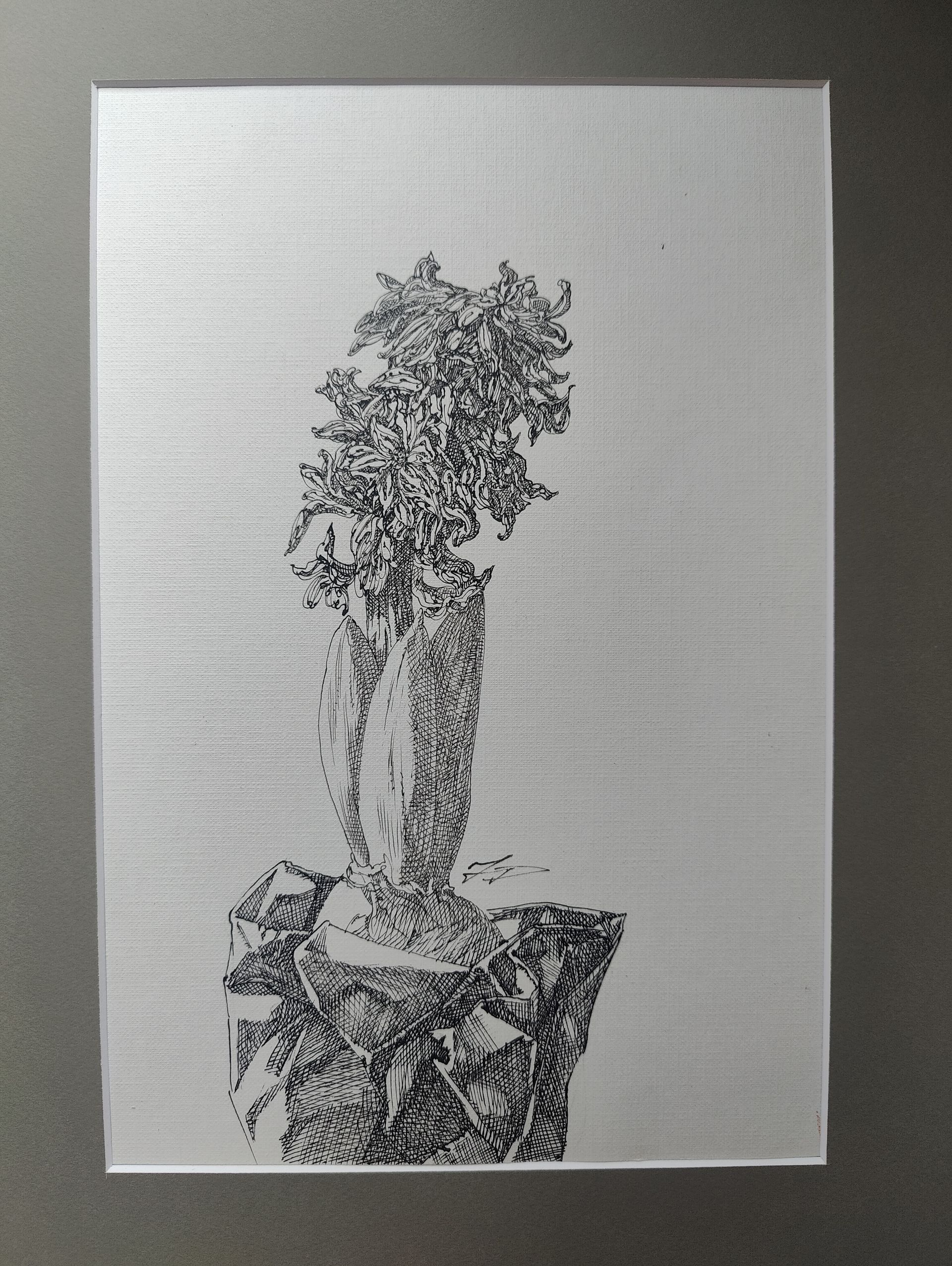 Наталия Рокотова (Авторская графика - 
                  30 x 40 см) Гиацинт