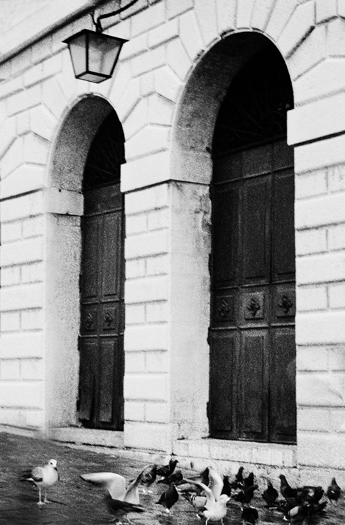 Lizabet Grace (Фотография - 
                  21 x 30 см) Venice Street Atmosphere | Венеция Атмосфера Города
