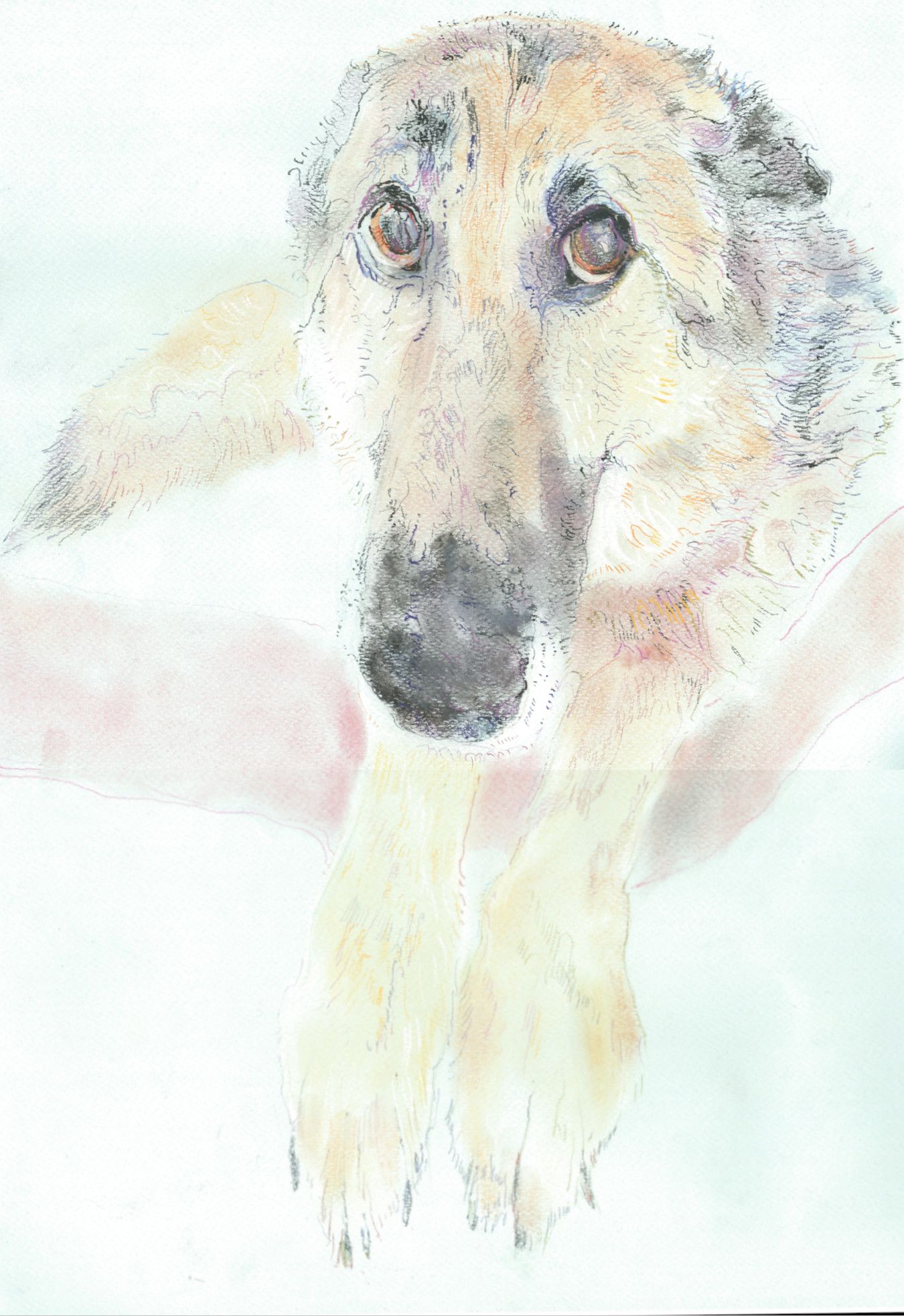 Саша Медведева (Авторская графика - 
                  34 x 50 см) Что-то потеряли?