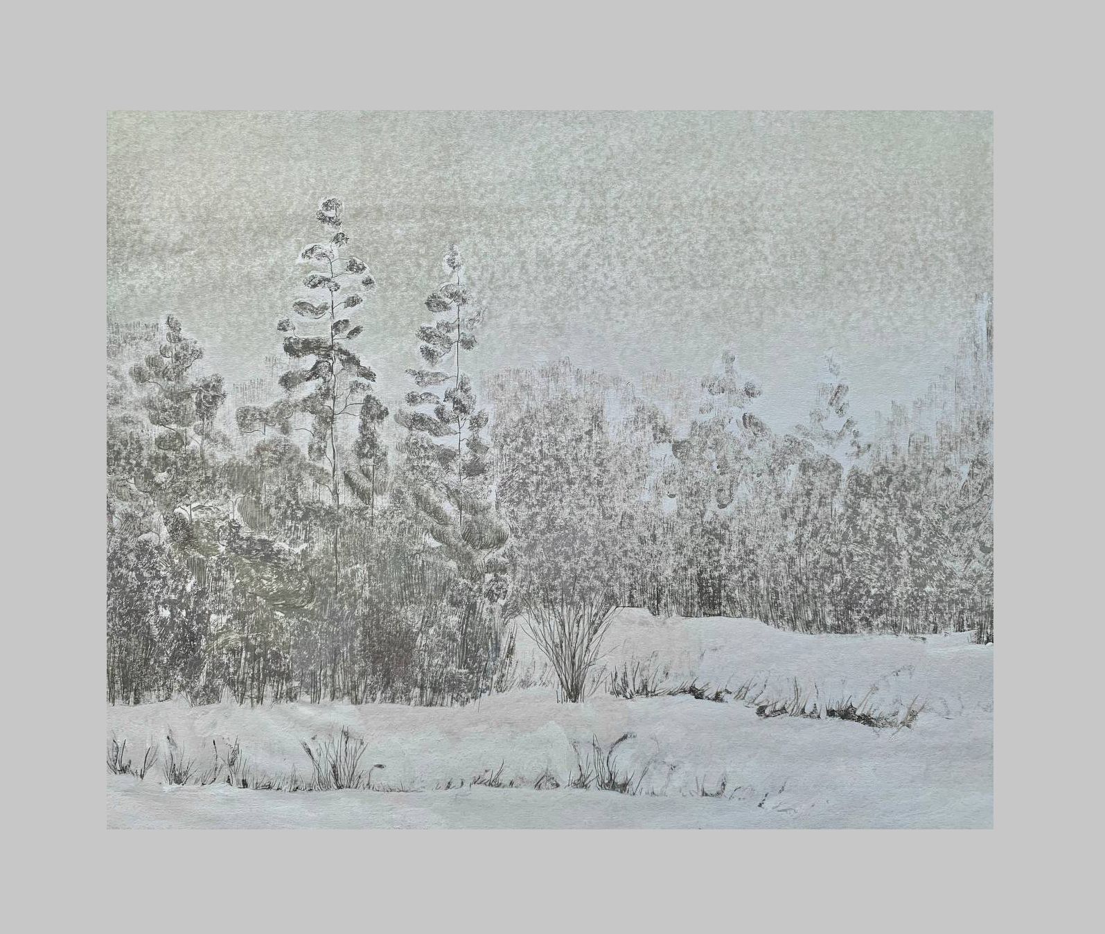 Мария Стадник (Графика печатная - 
                  50 x 41 см) Сосны