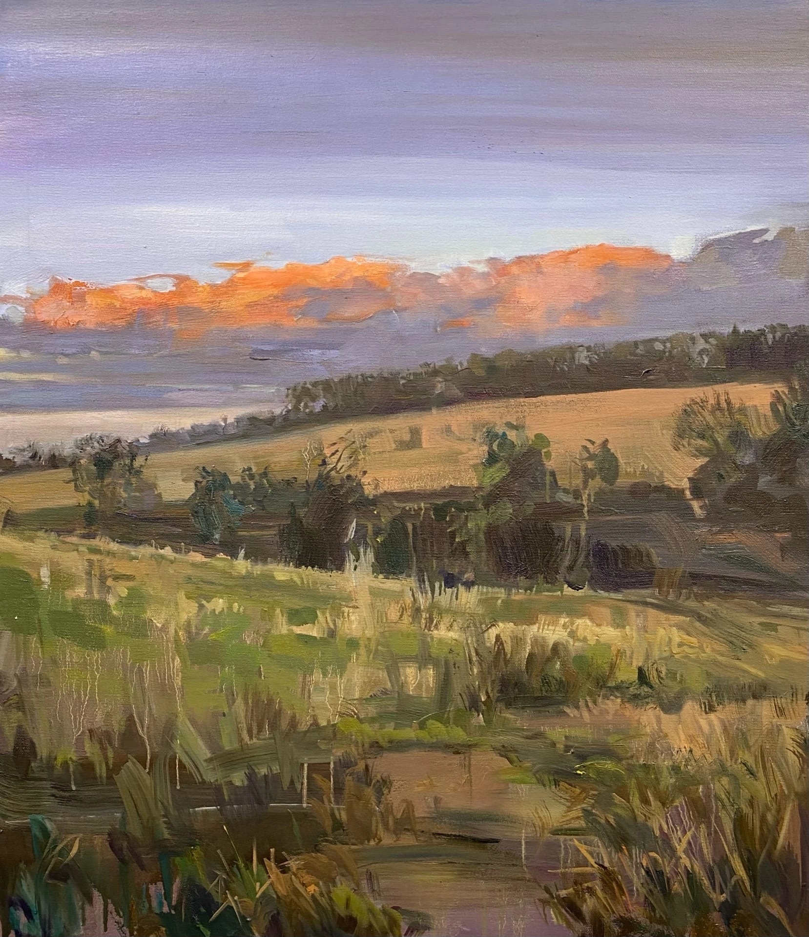 Вячеслав Кривцов (Картина, живопись - 
                  60 x 70 см) На закате