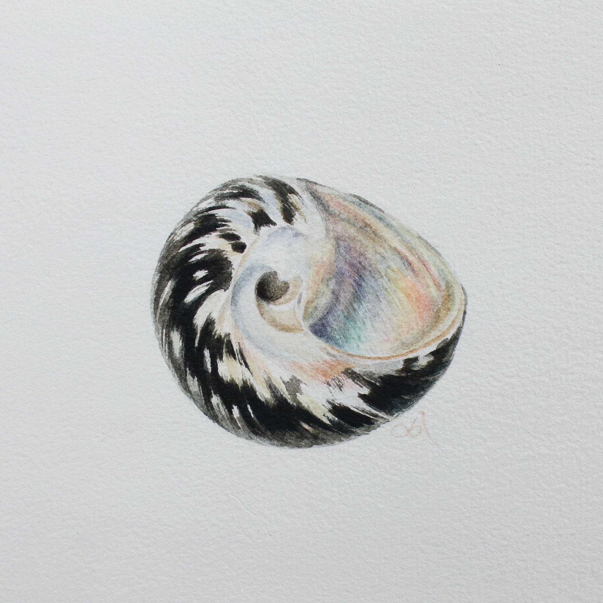 Любовь Фонарева (Авторская графика - 
                  15 x 15 см) Перламутровая