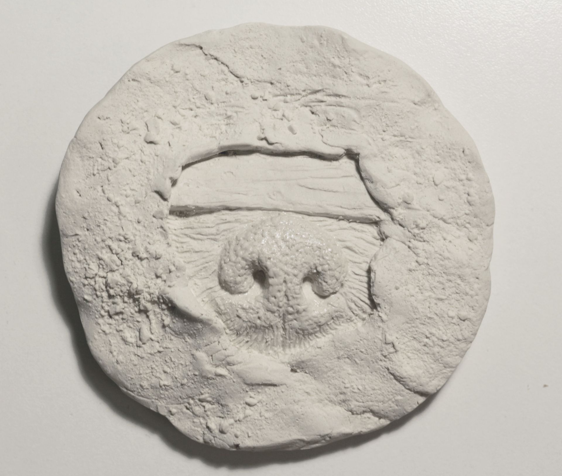 Егор Щаблыкин (Объект - 
                  12 x 12 см) Запах