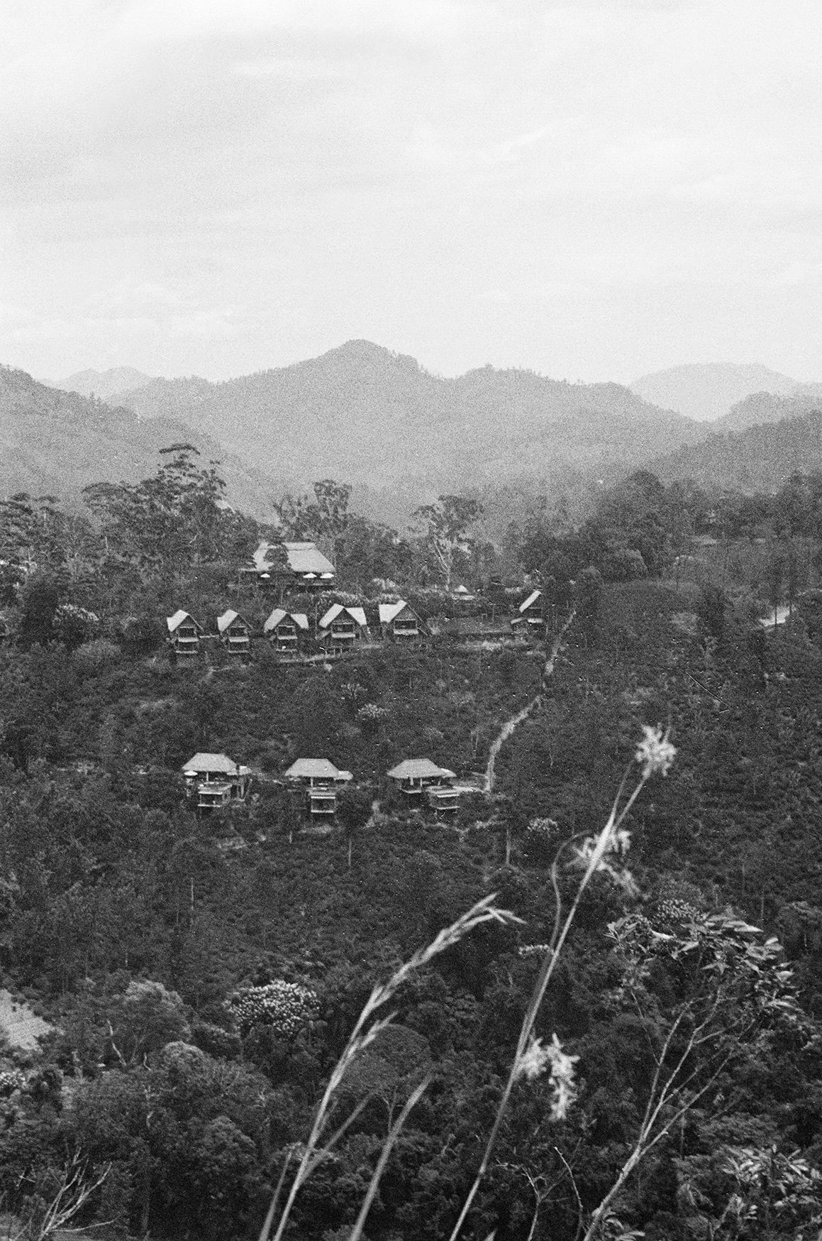 Elizaveta Kopacheva (Фотография - 
                  42 x 59 см) Sri Lanka Nuwara Eliya | Шри-Ланка Нувара-Элия