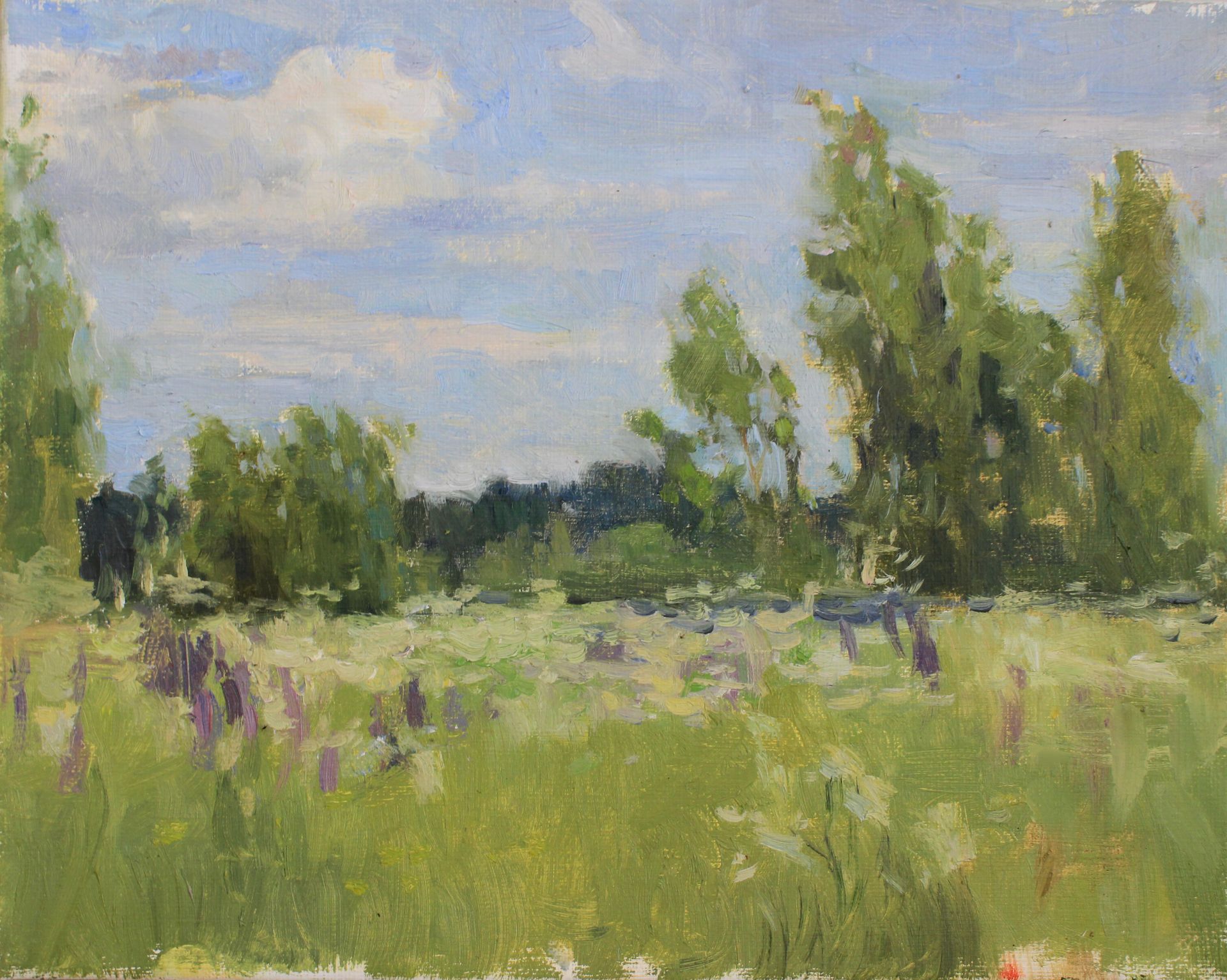 Алина Коршункова (Картина, живопись - 
                  30 x 24 см) Лето