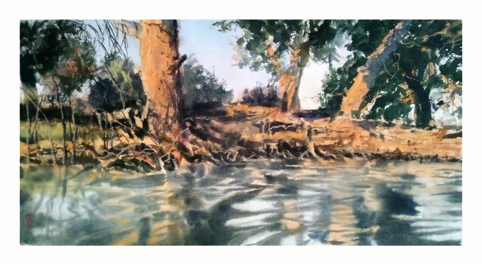 Александр Кормилицын (Авторская графика - 
                  57.5 x 30 см) Эвкалипты в теплых лучах заката