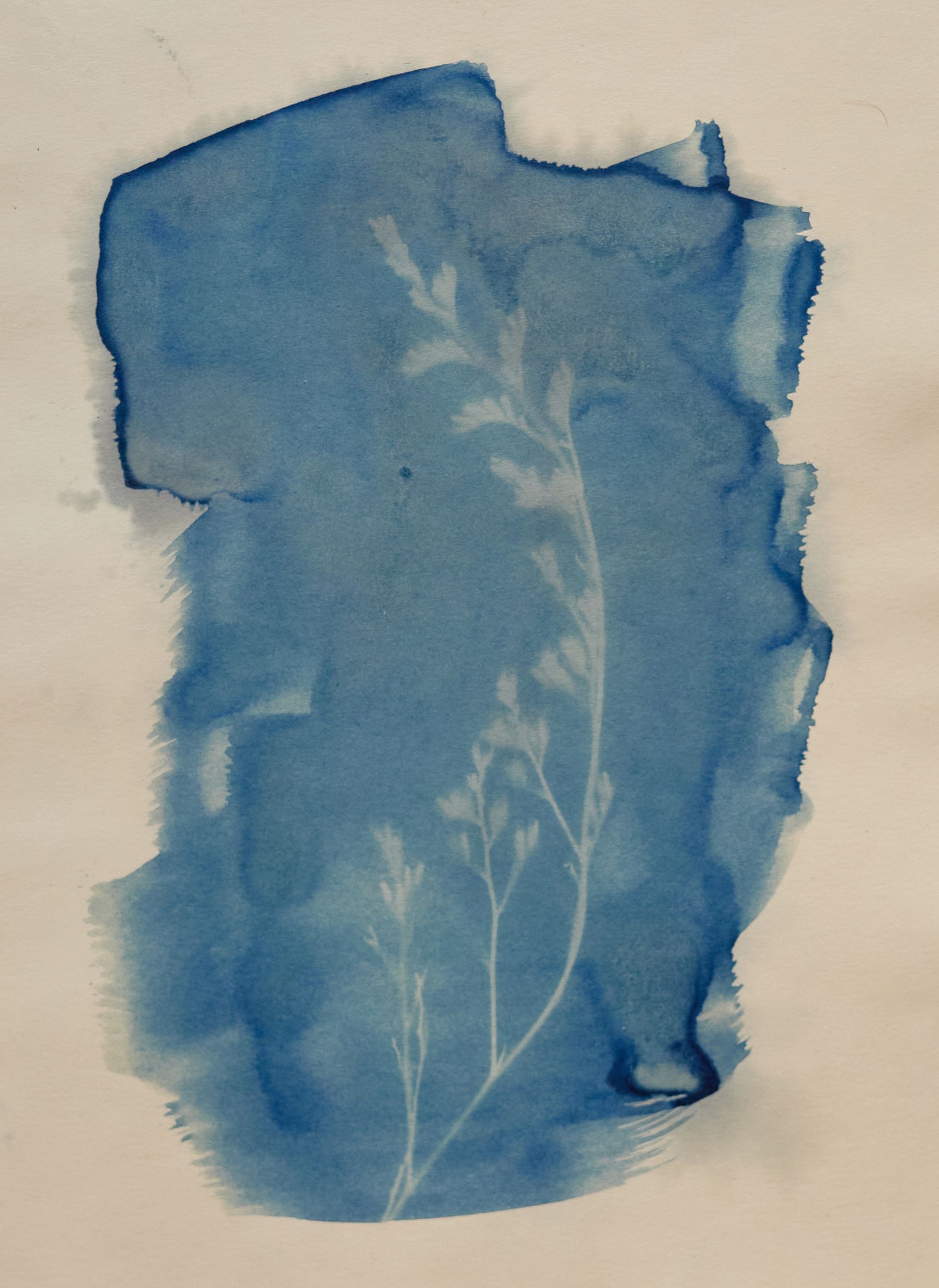 Валентин Федоров (Графика печатная - 
                  14 x 20 см) Течение