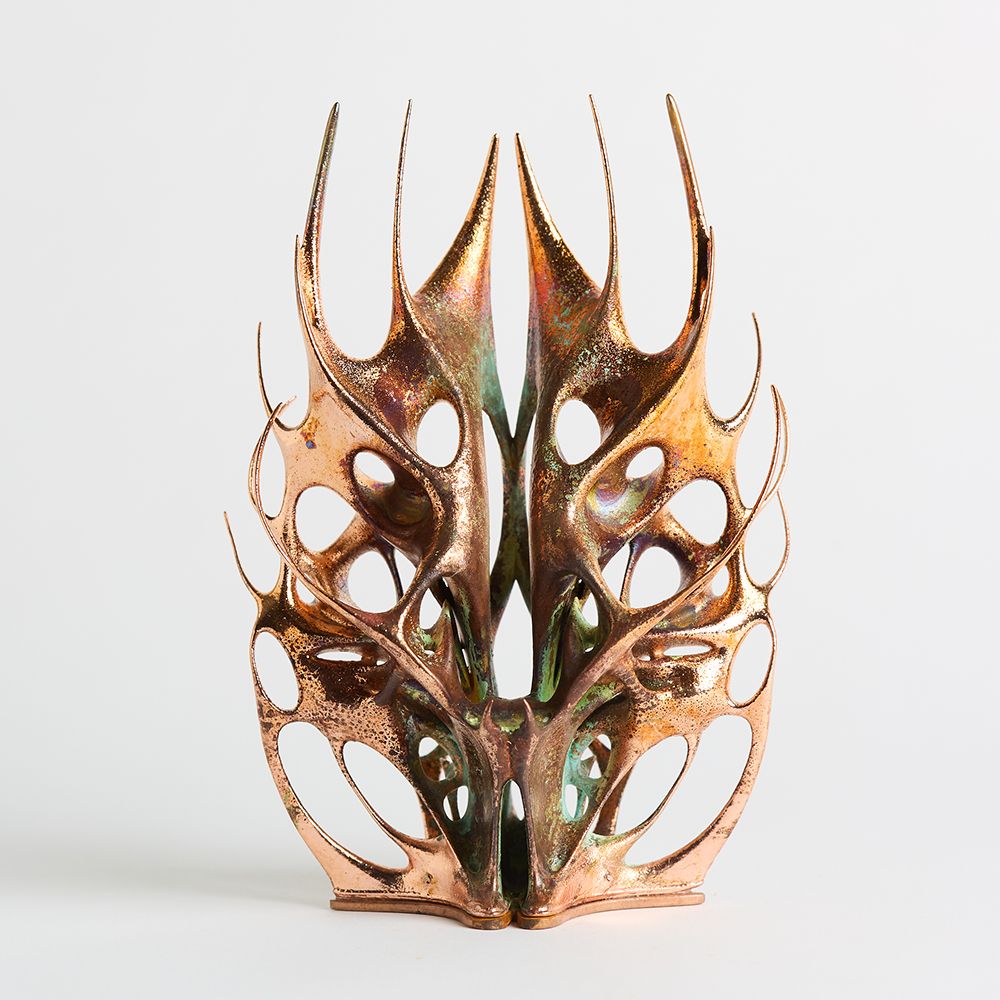 Юлия Низамутдинова (Cyberflora) (Скульптура - 
                  10 x 12 см) Liminal Biom_8
