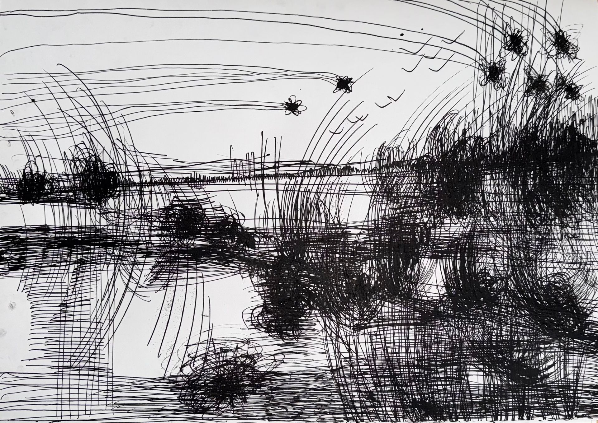 Маргарита Чигодайкина (Авторская графика - 
                  59.4 x 42 см) Абсолютное поле 9