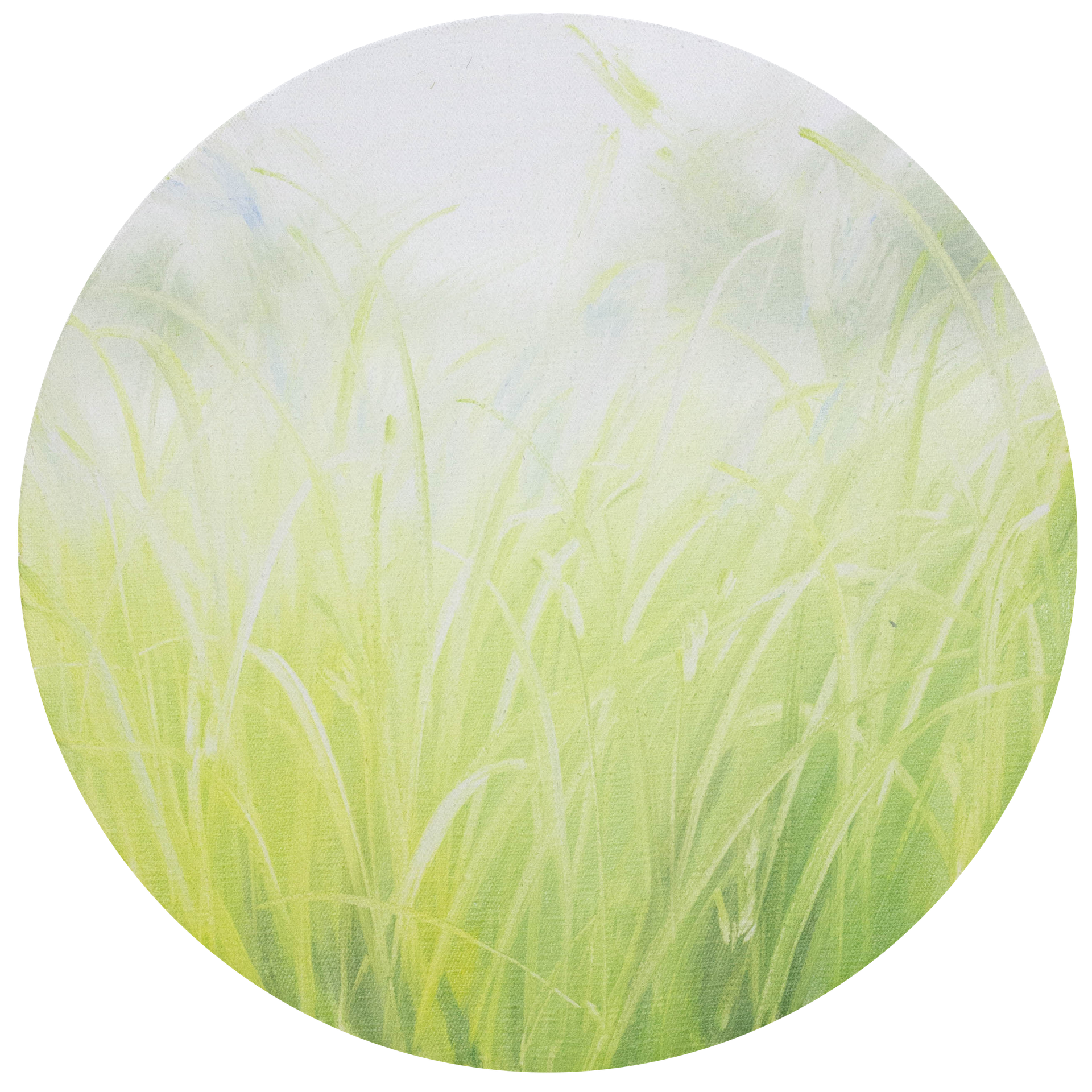 Татьяна Прокшина (Картина, живопись - 
                  30 x 40 см) Травы 260203-1. Неон