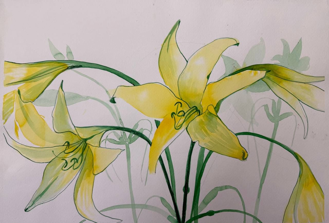 Алена Сокольникова (Авторская графика - 
                  41.5 x 29.5 см) Лилии