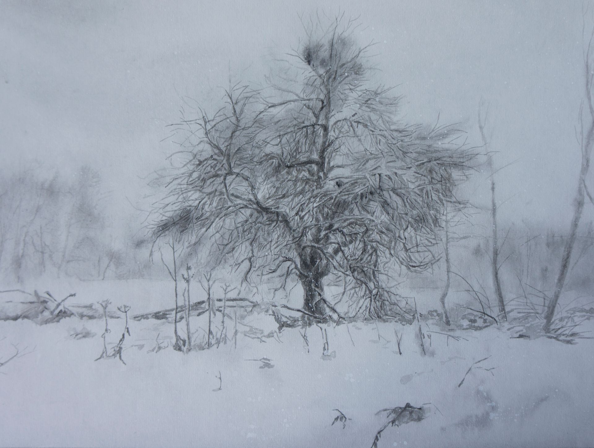 Александр и Светлана Рощенко (Авторская графика - 
                  39 x 29 см) Дерево
