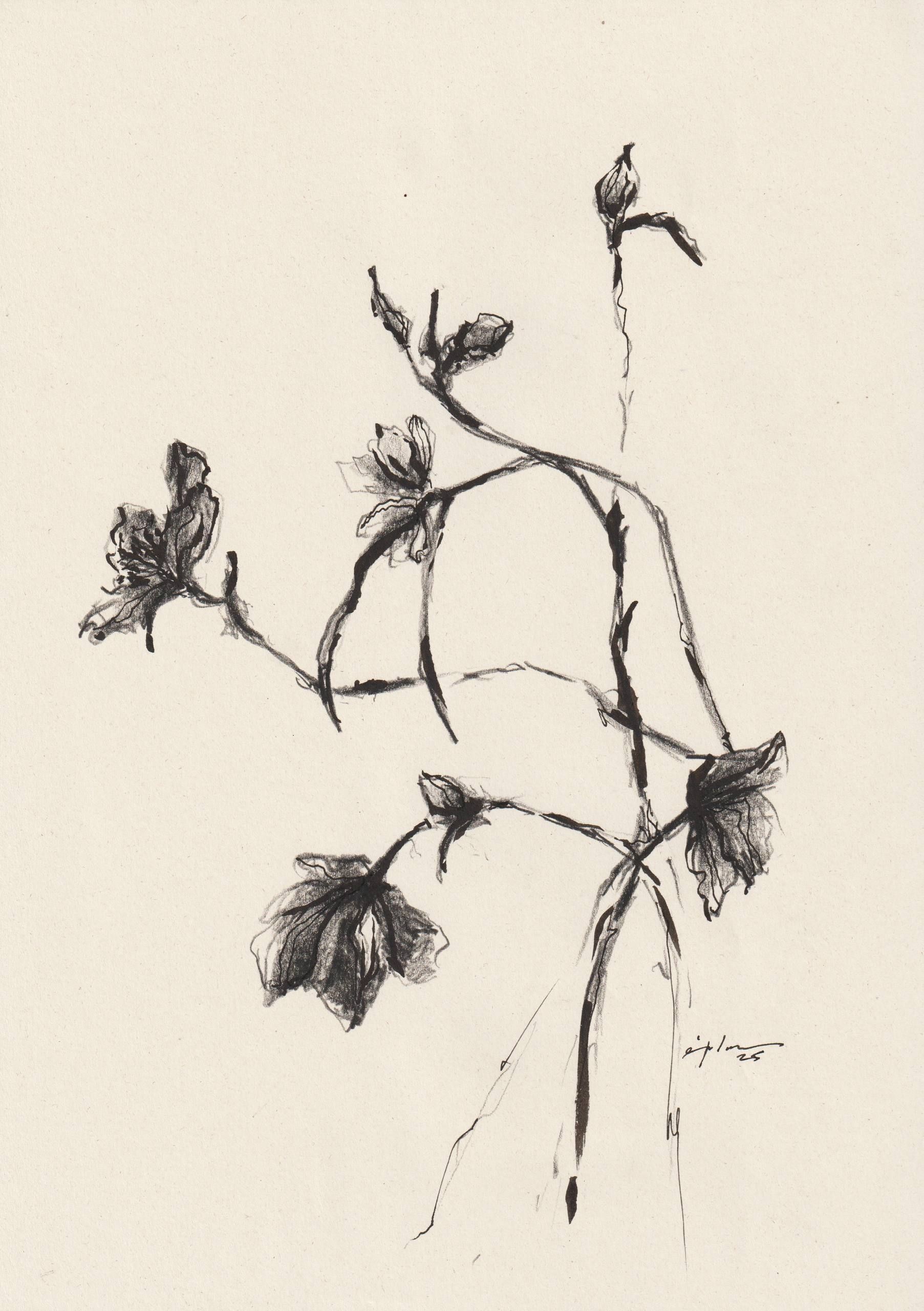 Виктория Зарецкая (embrassé par la muse) (Авторская графика - 
                  21 x 29.7 см) Fleur 07