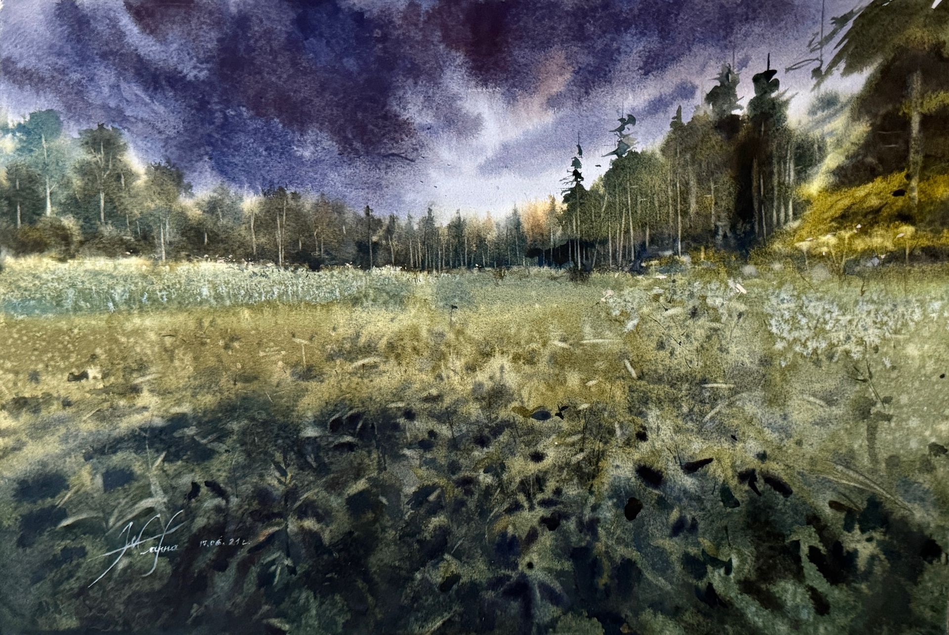 Жанна Губина (Авторская графика - 
                  45 x 30 см) Лесная поляна