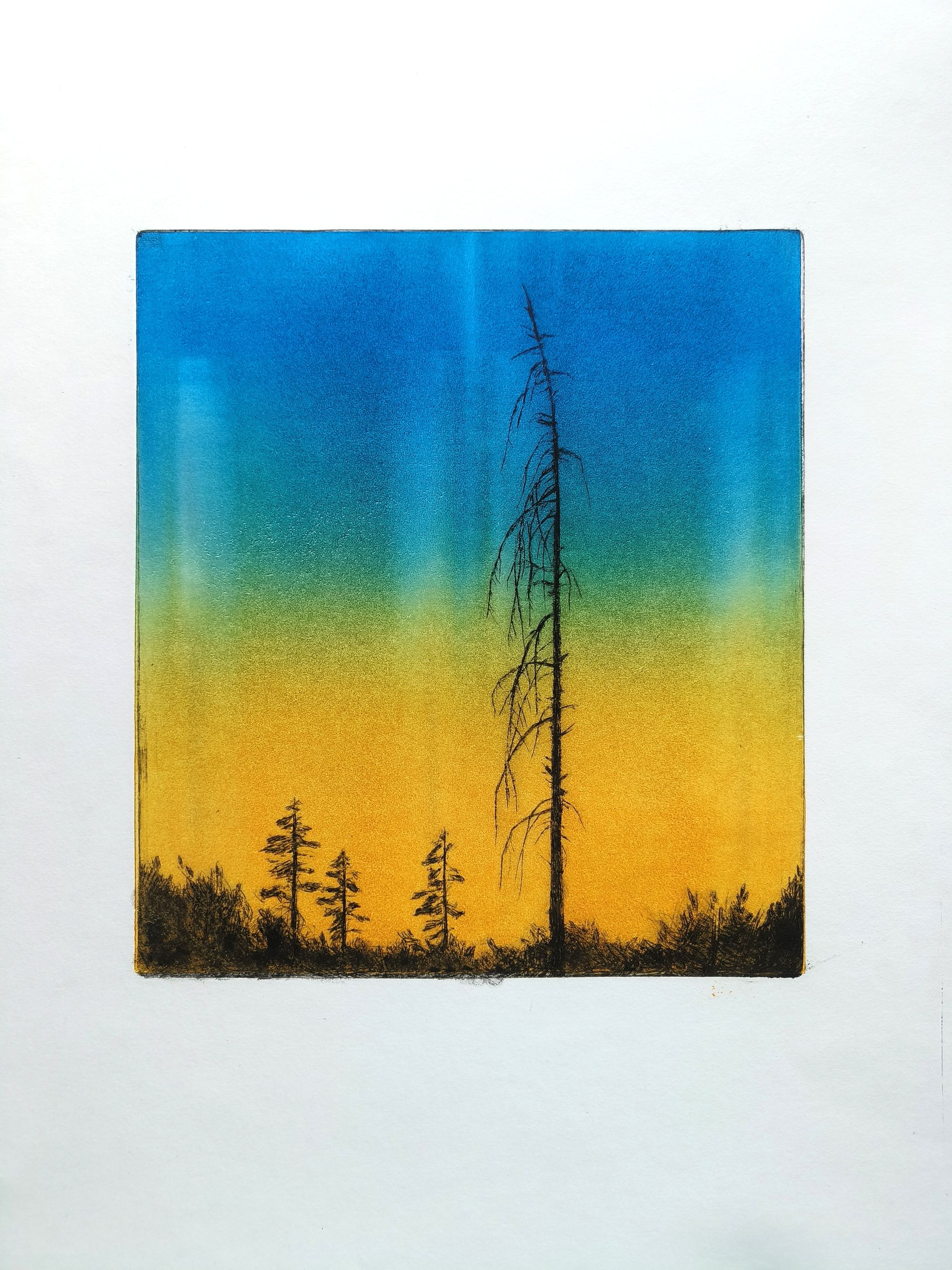Елизавета Здоровец (Графика печатная - 
                  35 x 41 см) Сосна