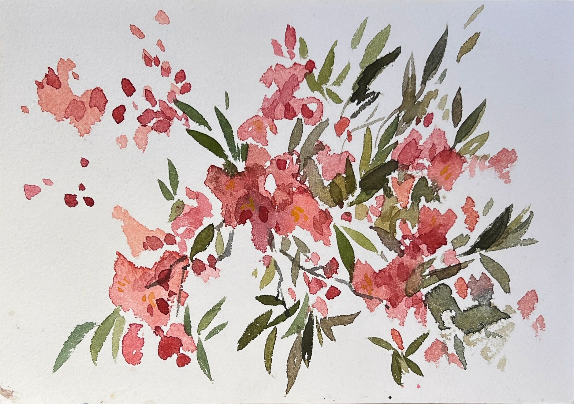 Valentine Solonski (Авторская графика - 
                  21 x 14.5 см) Степной миндаль