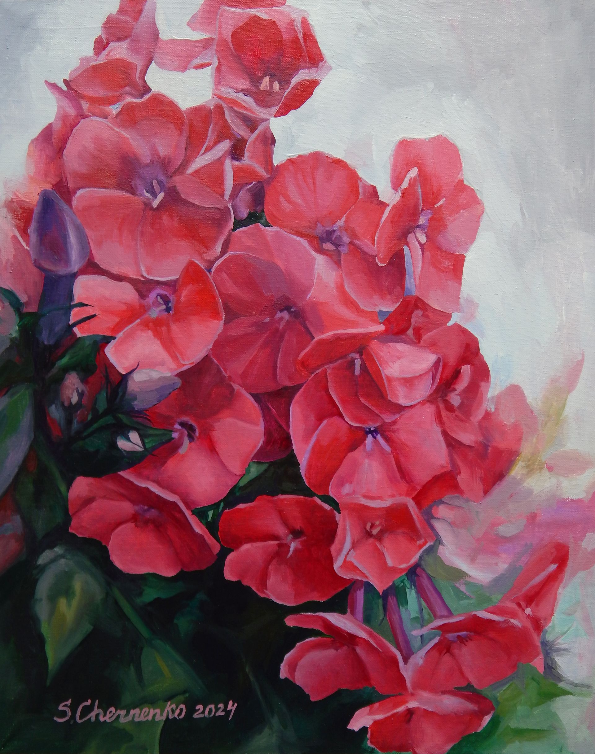 Светлана Черненко (Картина, живопись - 
                  40 x 50 см) Красные флоксы