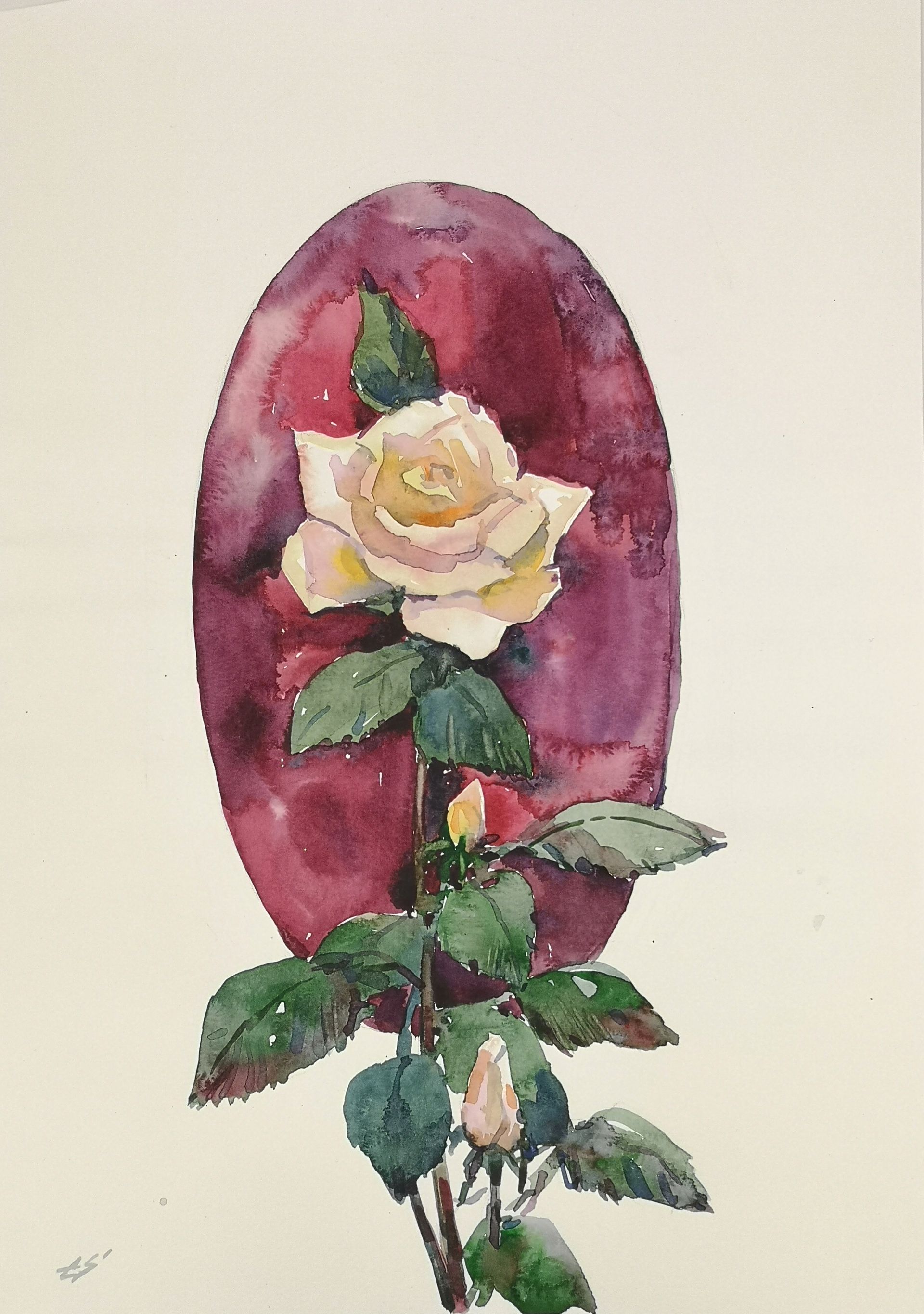 Елена Санина (Авторская графика - 
                  27 x 38 см) Роза