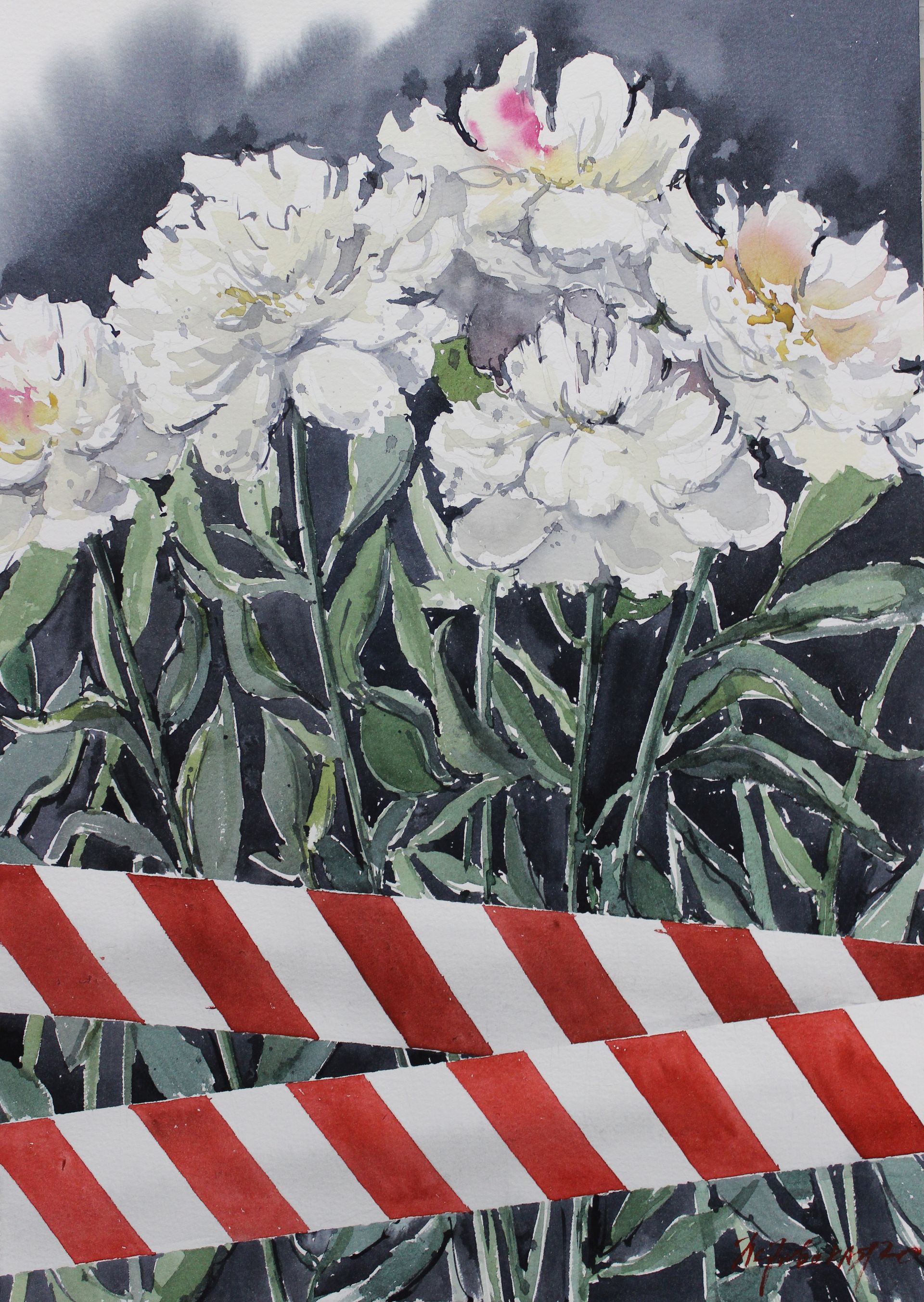 Ирина Петровская (Авторская графика - 
                  30 x 40 см) Пионы