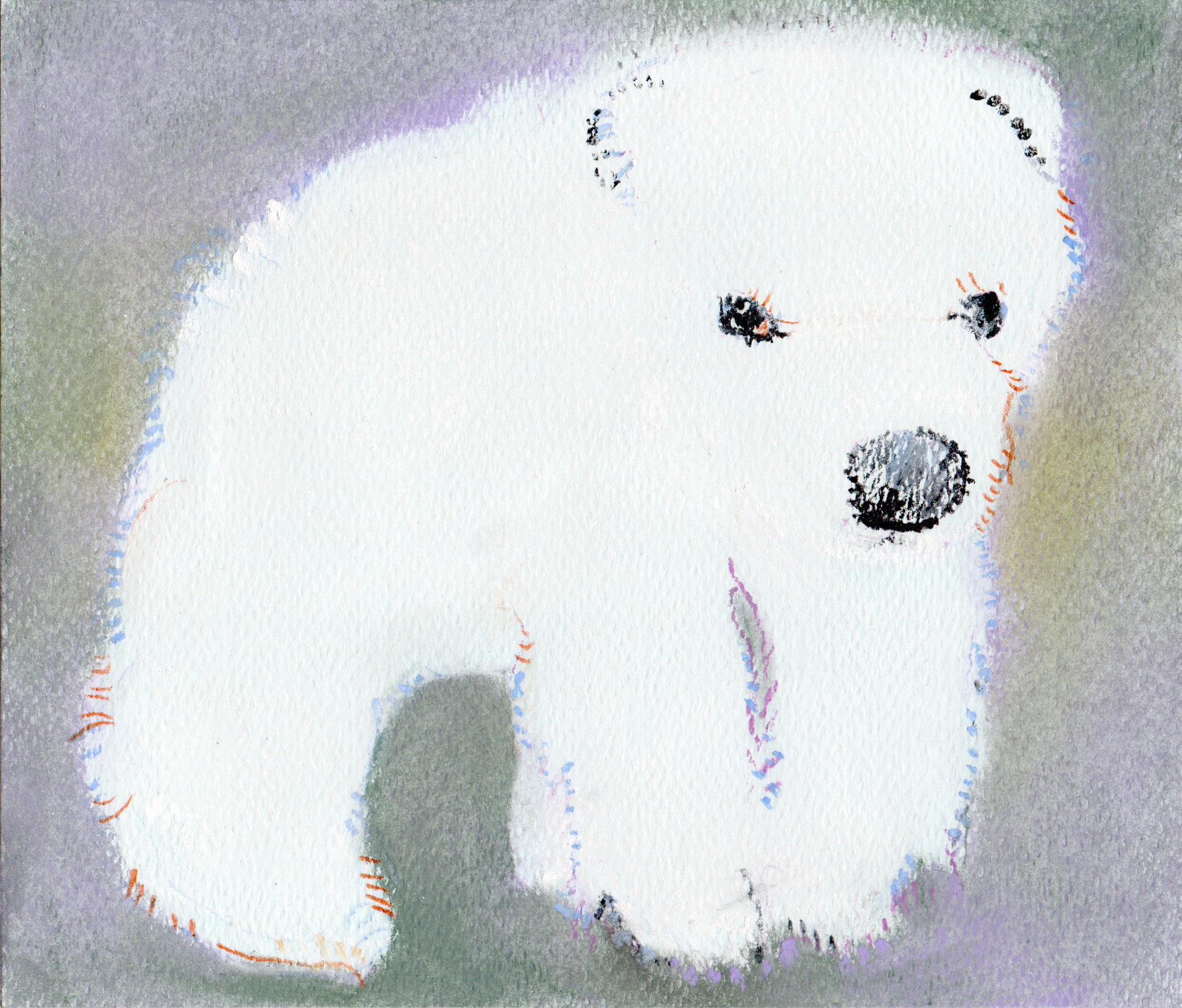 Саша Медведева (Авторская графика - 
                  20 x 17 см) ― А акула меня не съест?