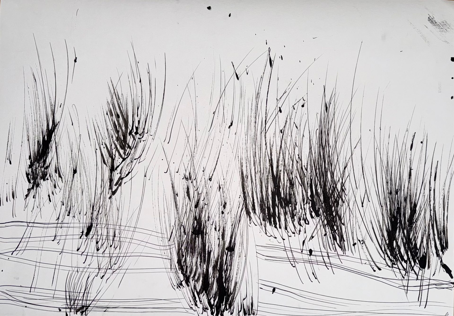 Маргарита Чигодайкина (Авторская графика - 
                  59.4 x 42 см) Абсолютное поле 1