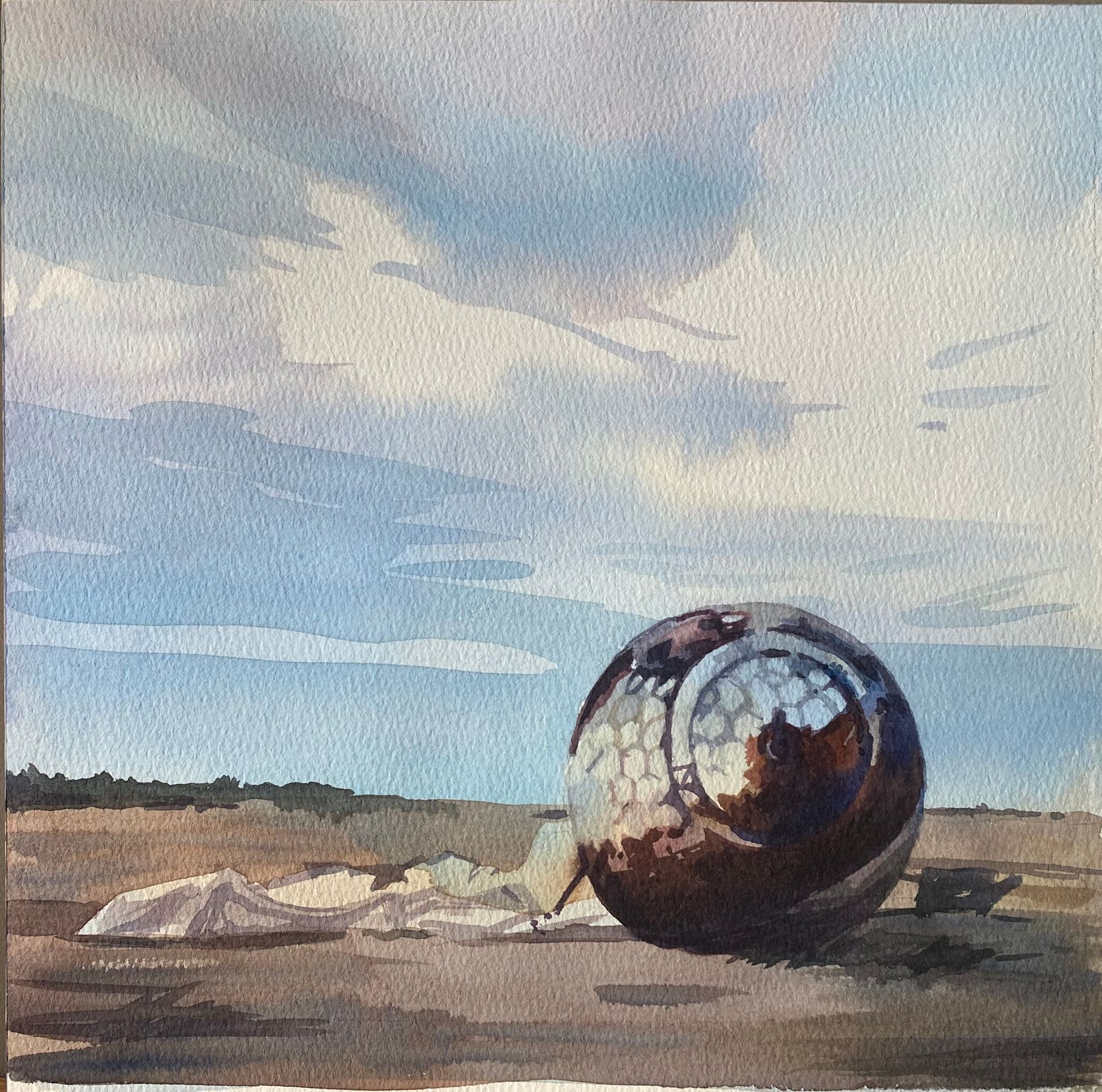 Агне-Мария Силкинайте (Авторская графика - 
                  23 x 23 см) Капсула Гагарина