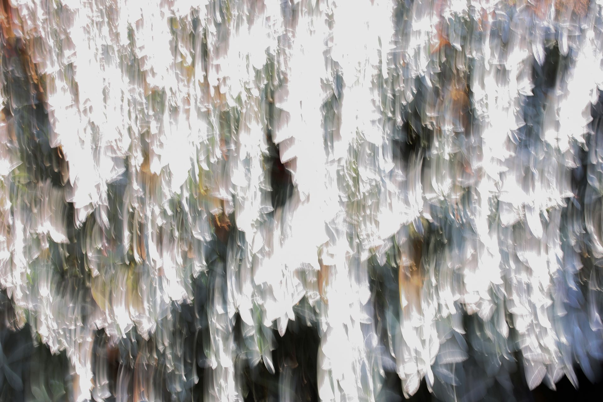 Татьяна Сенчило (Фотография - 
                  100 x 70 см) Из серии "Исчезнуть, замолчать, услышать"