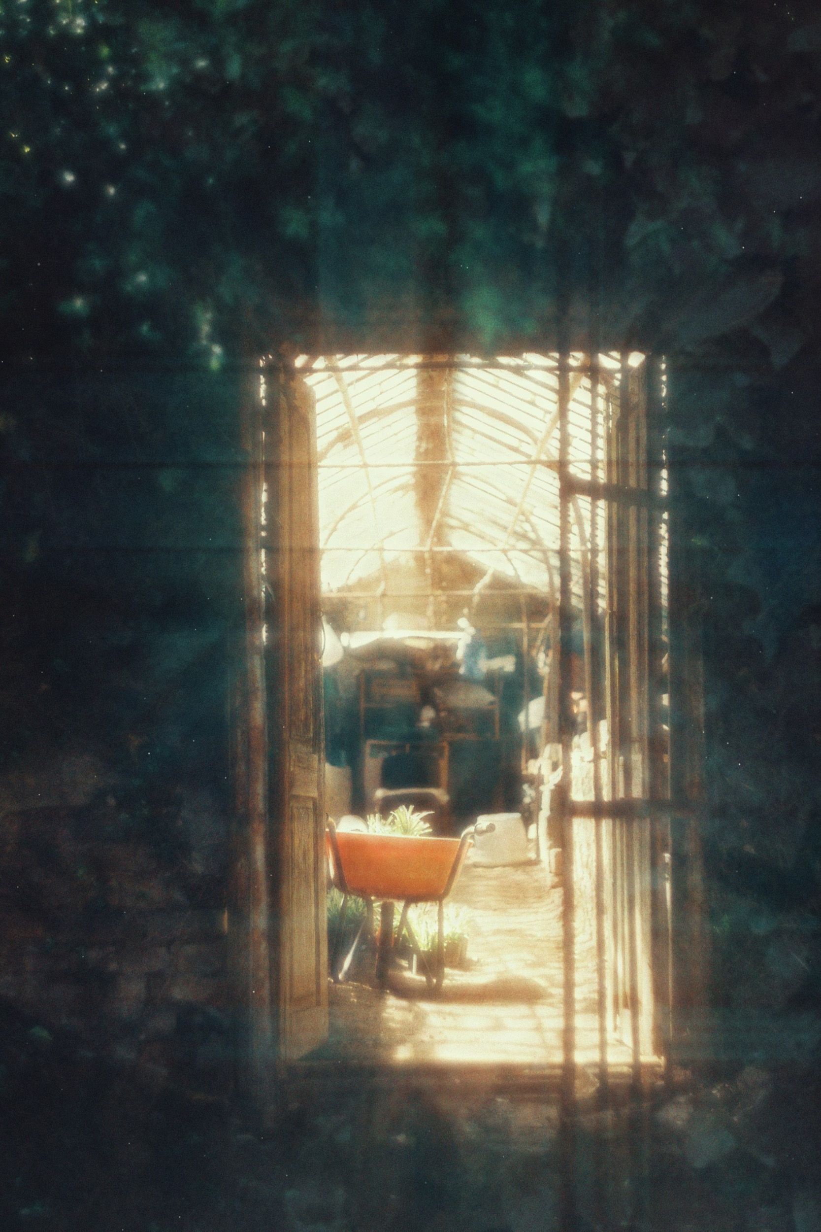 Анна Конушкина (Фотография - 
                  60 x 90 см) Long Journey #8