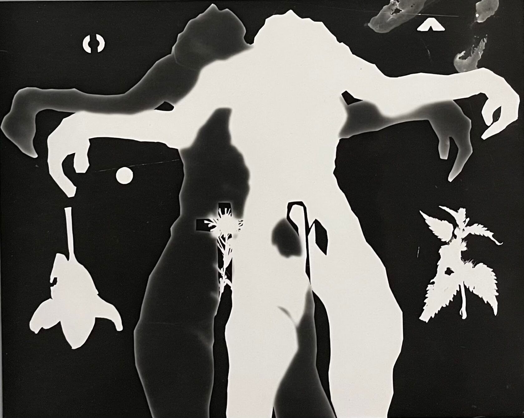 Кристина Пуршина (Графика цифровая (принты) - 
                  40 x 30 см) Серия "Амбивалентность"