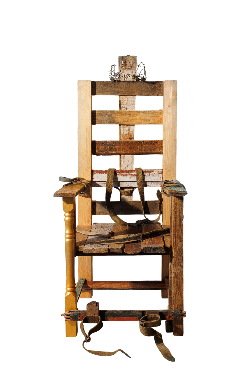 Юлия Агеносова (Объект - 
                  75 x 167 см) ТРОН