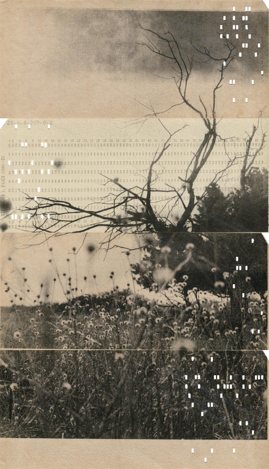 Виталий Северов (Фотография - 
                  18.7 x 32.8 см) Memories of Future VII