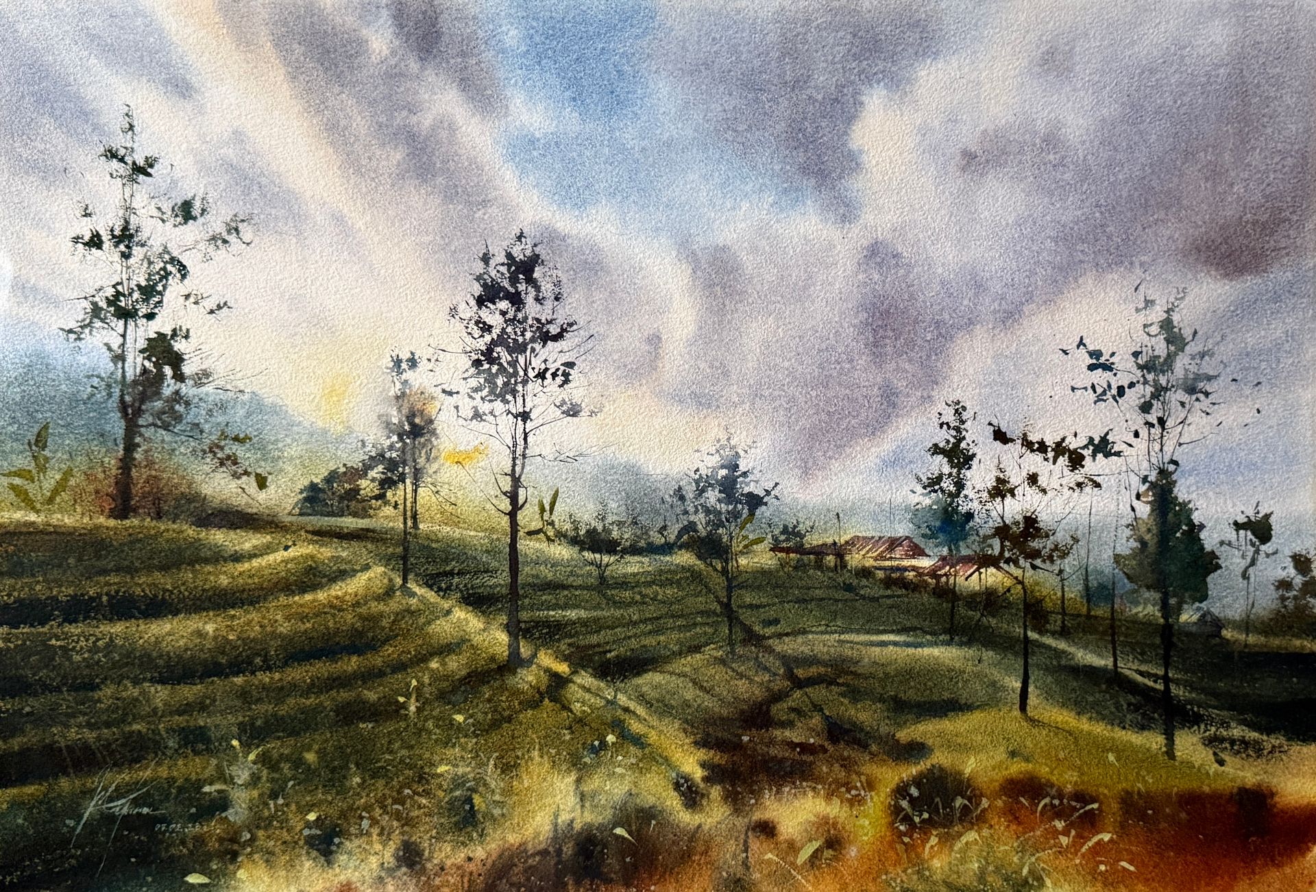Жанна Губина (Авторская графика - 
                  56 x 38 см) Чайные плантации