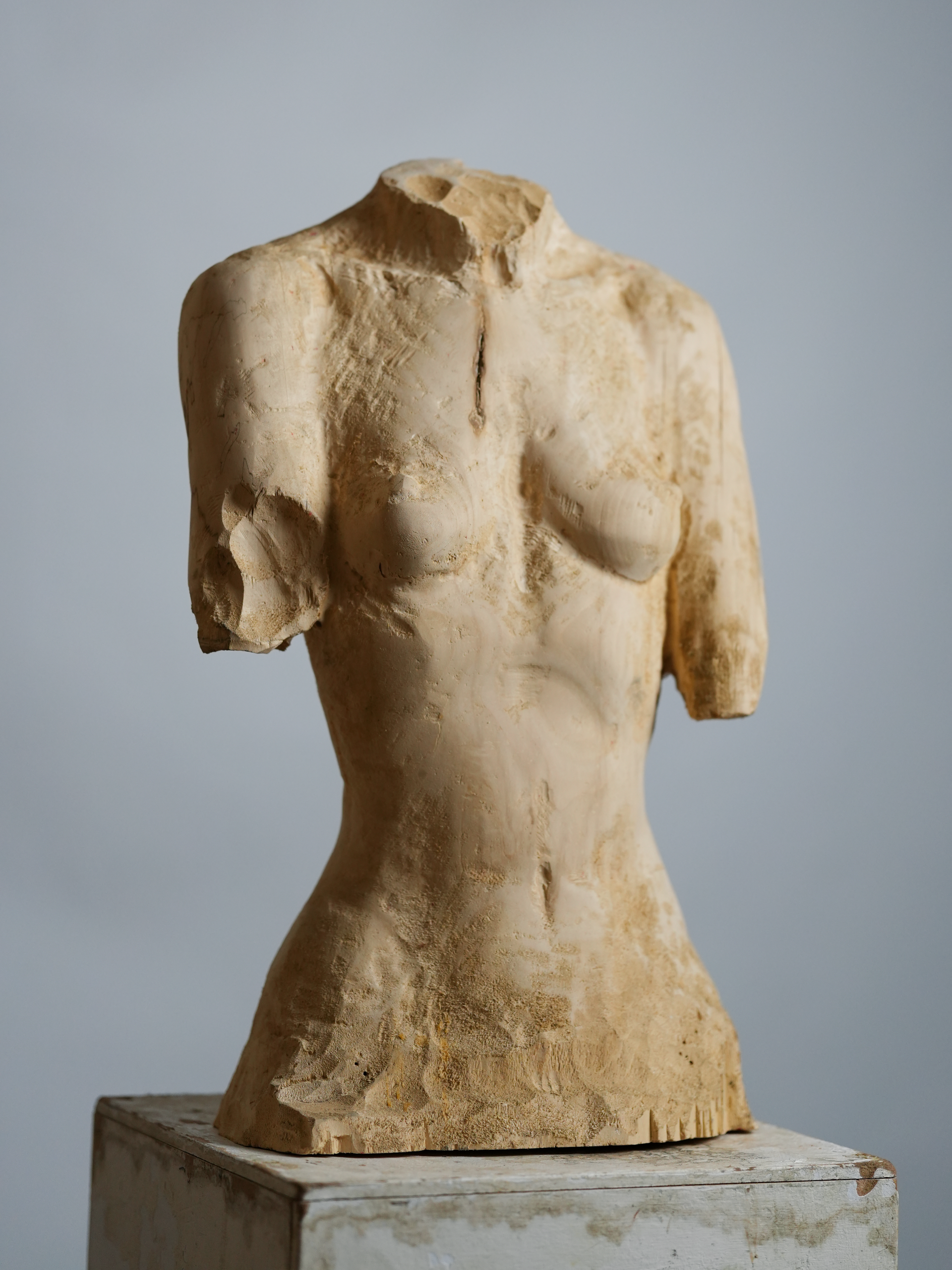 Данила Колтушкин (Скульптура - 
                  23 x 65 см) Female Torso